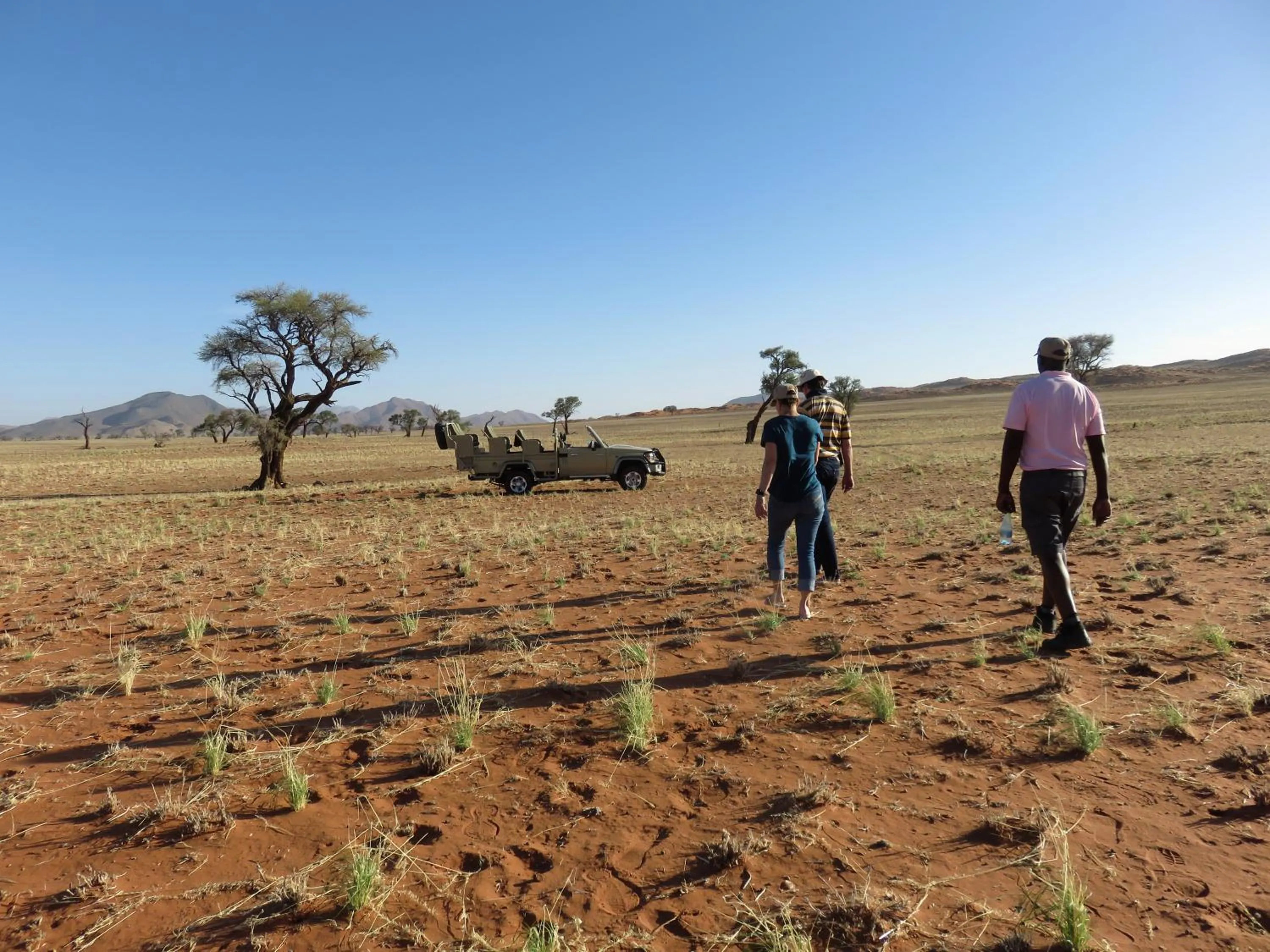 Natural landscape in The Desert Grace
