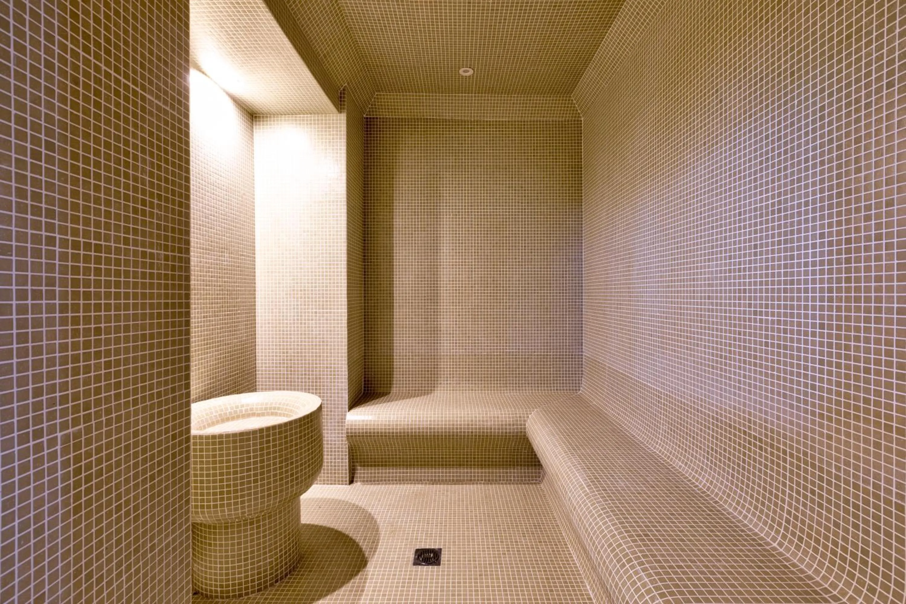 Steam room in White Olive Premium Laganas