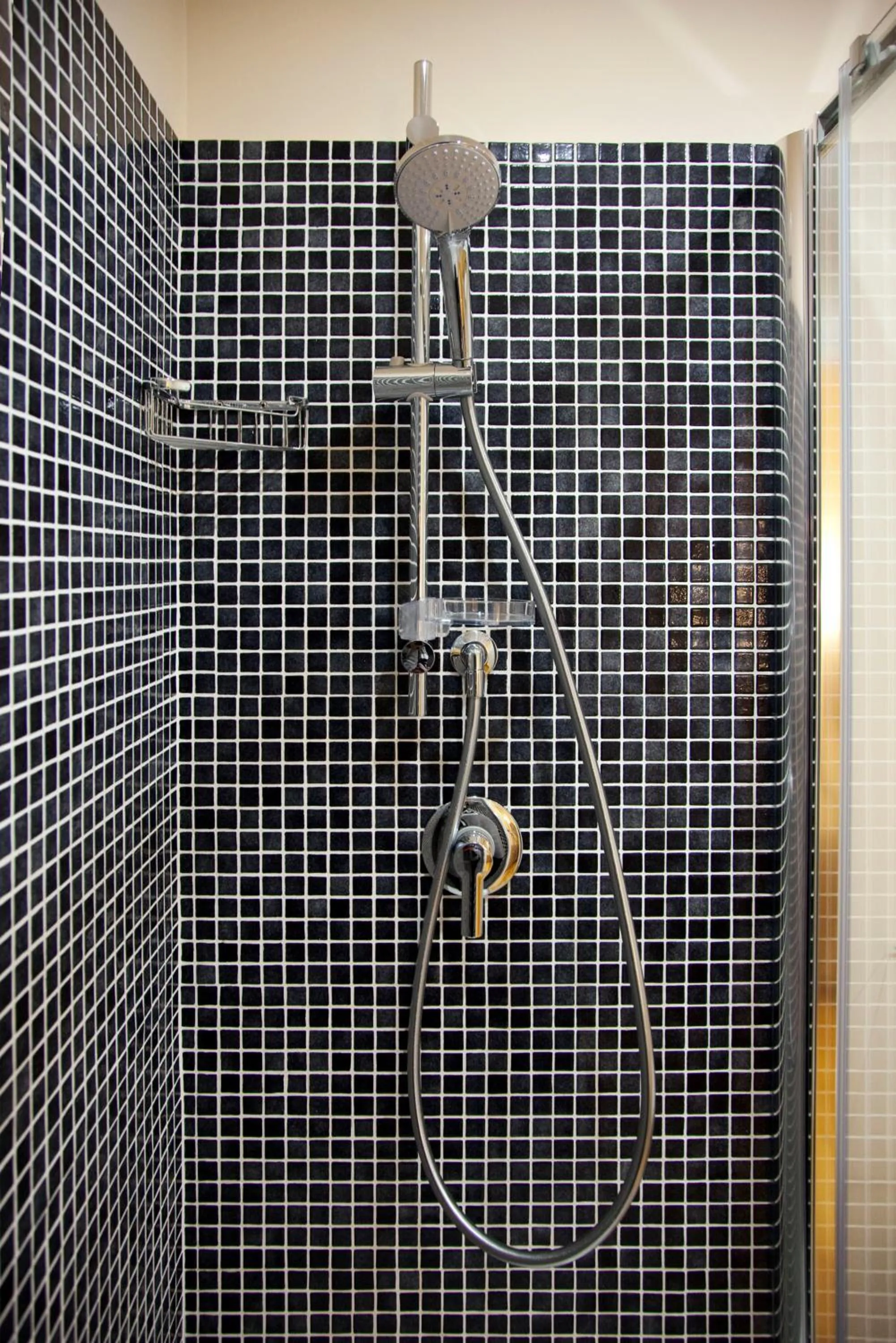 Shower in Residenza Dei Gracchi