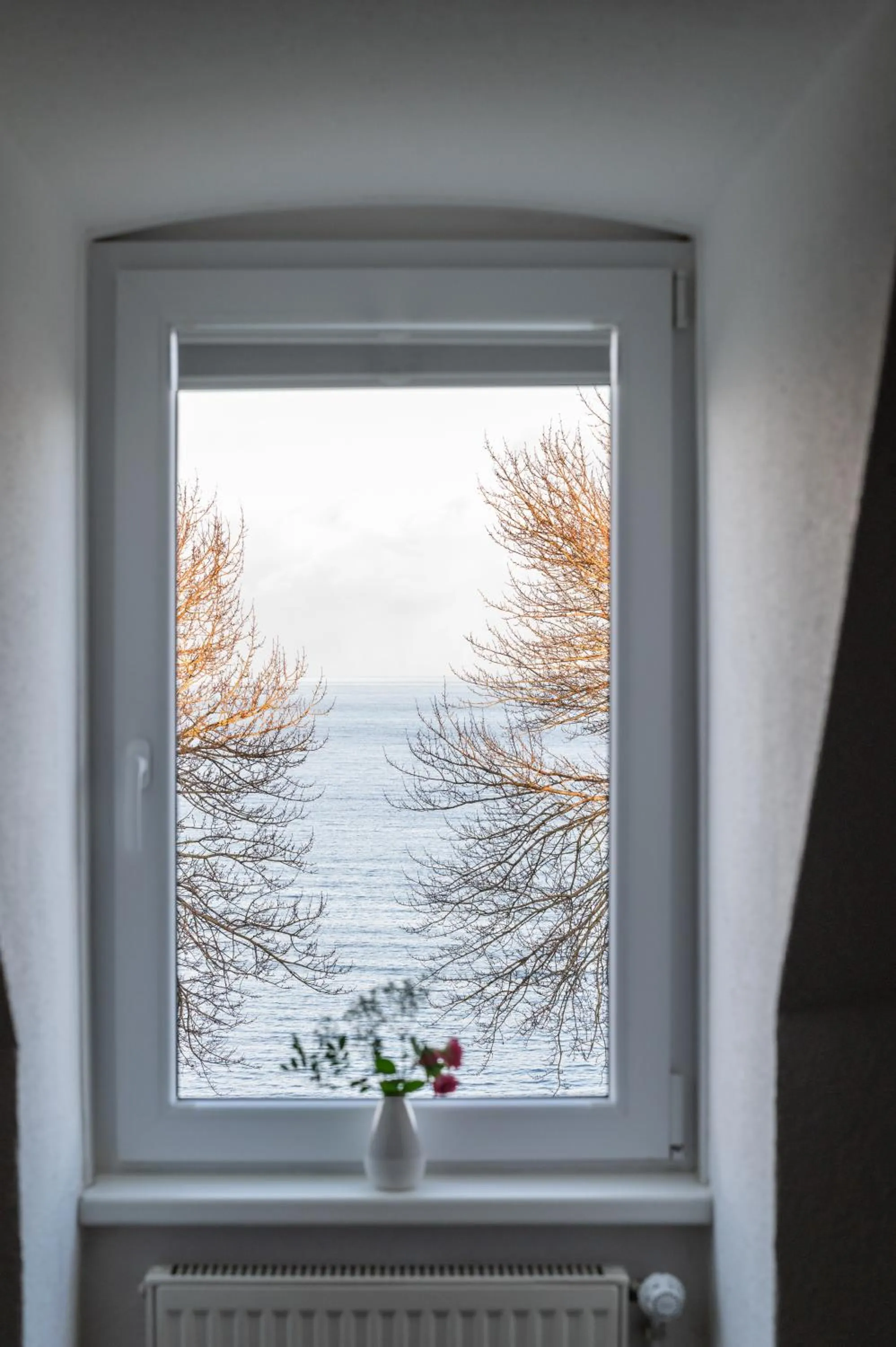 Sea view in Hotel Alte Fischereischule