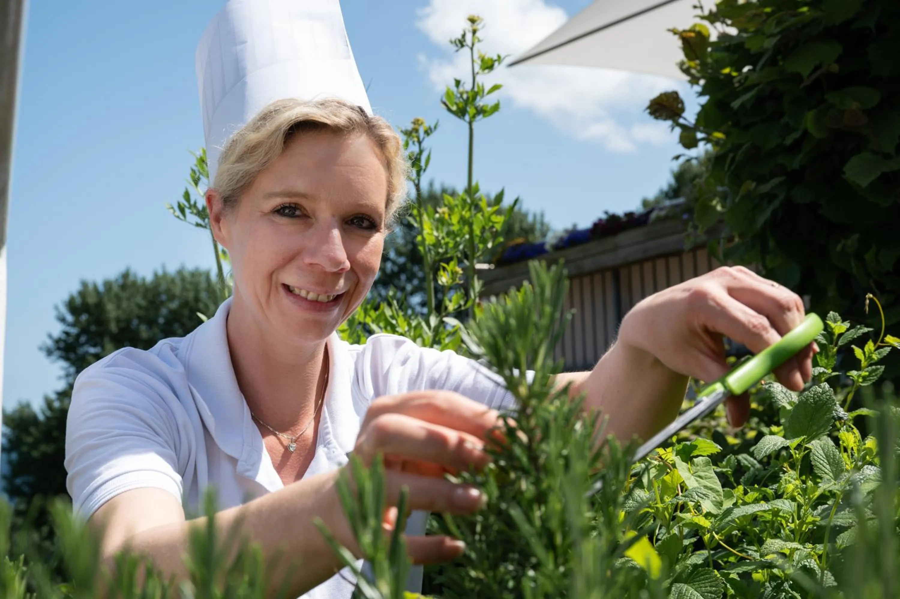 Restaurant/places to eat in Hotel Alte Fischereischule