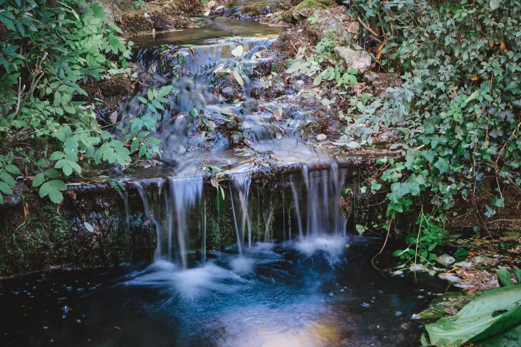 Natural landscape in CIM Business Centre