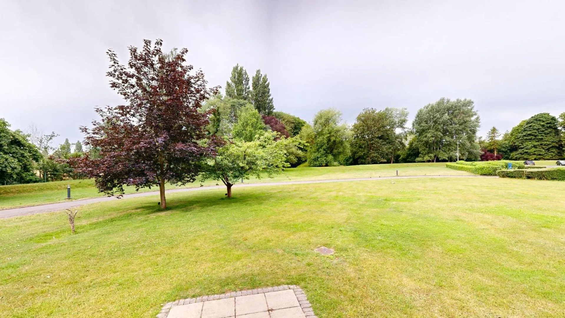 Garden in CIM Business Centre