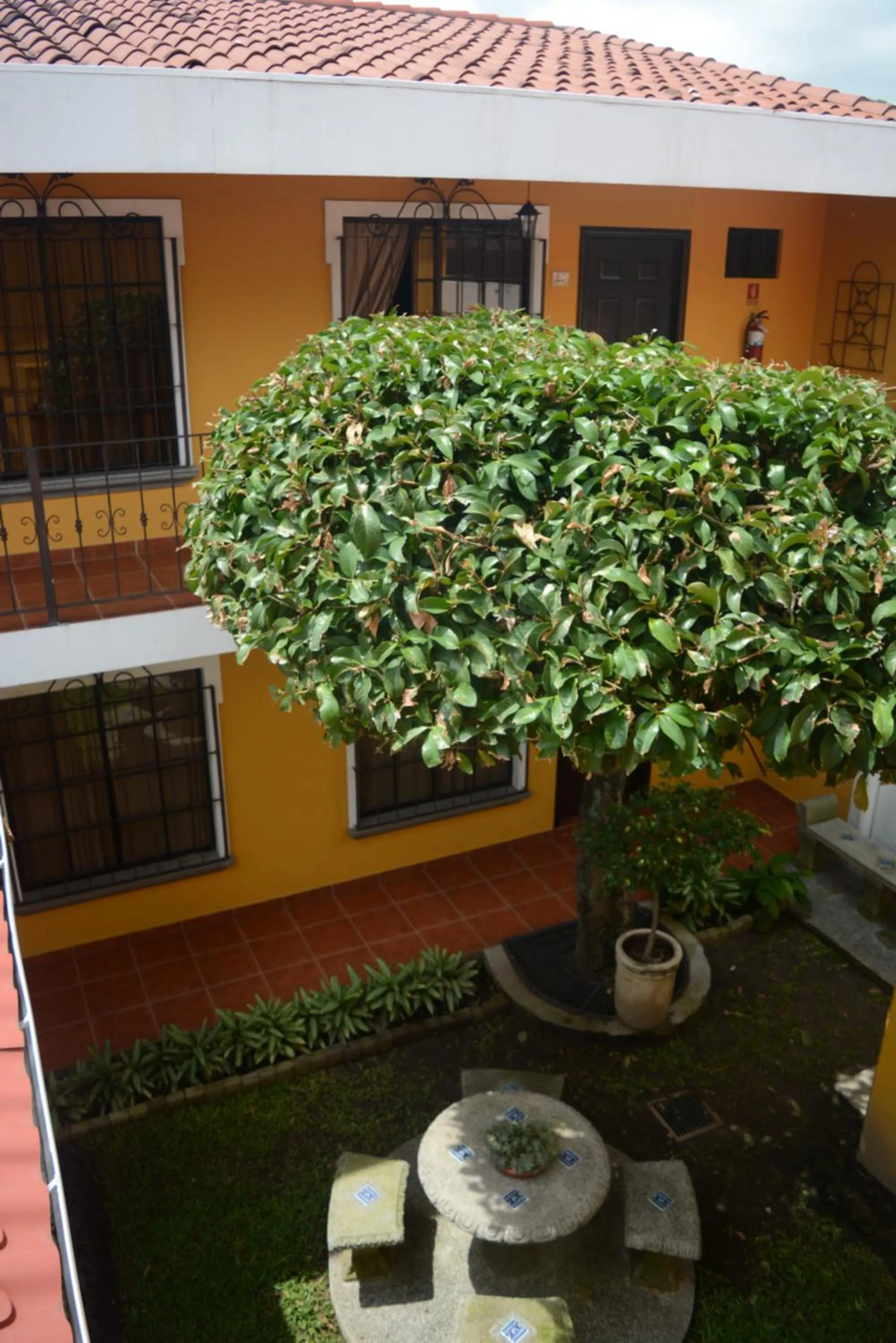 Patio in Hotel Villa Terra