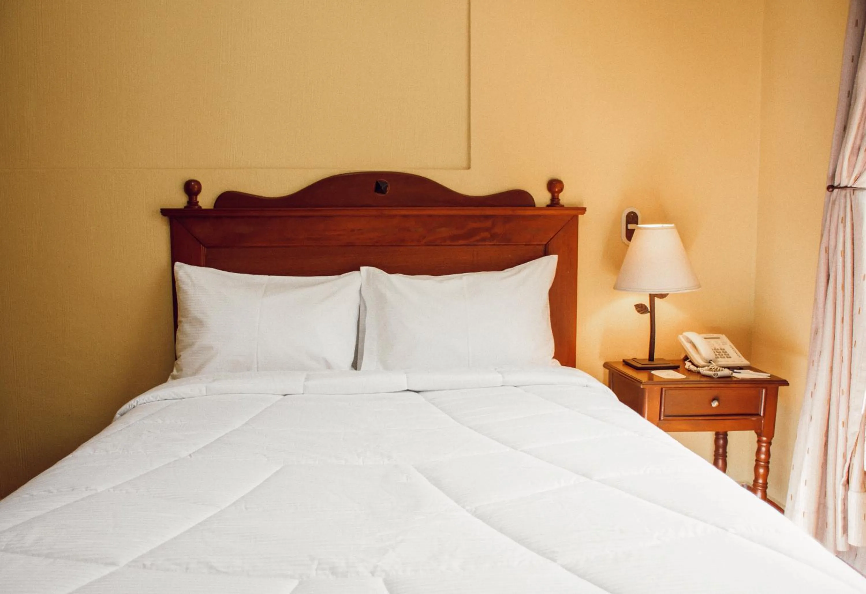 Bed in Hotel Villa Terra