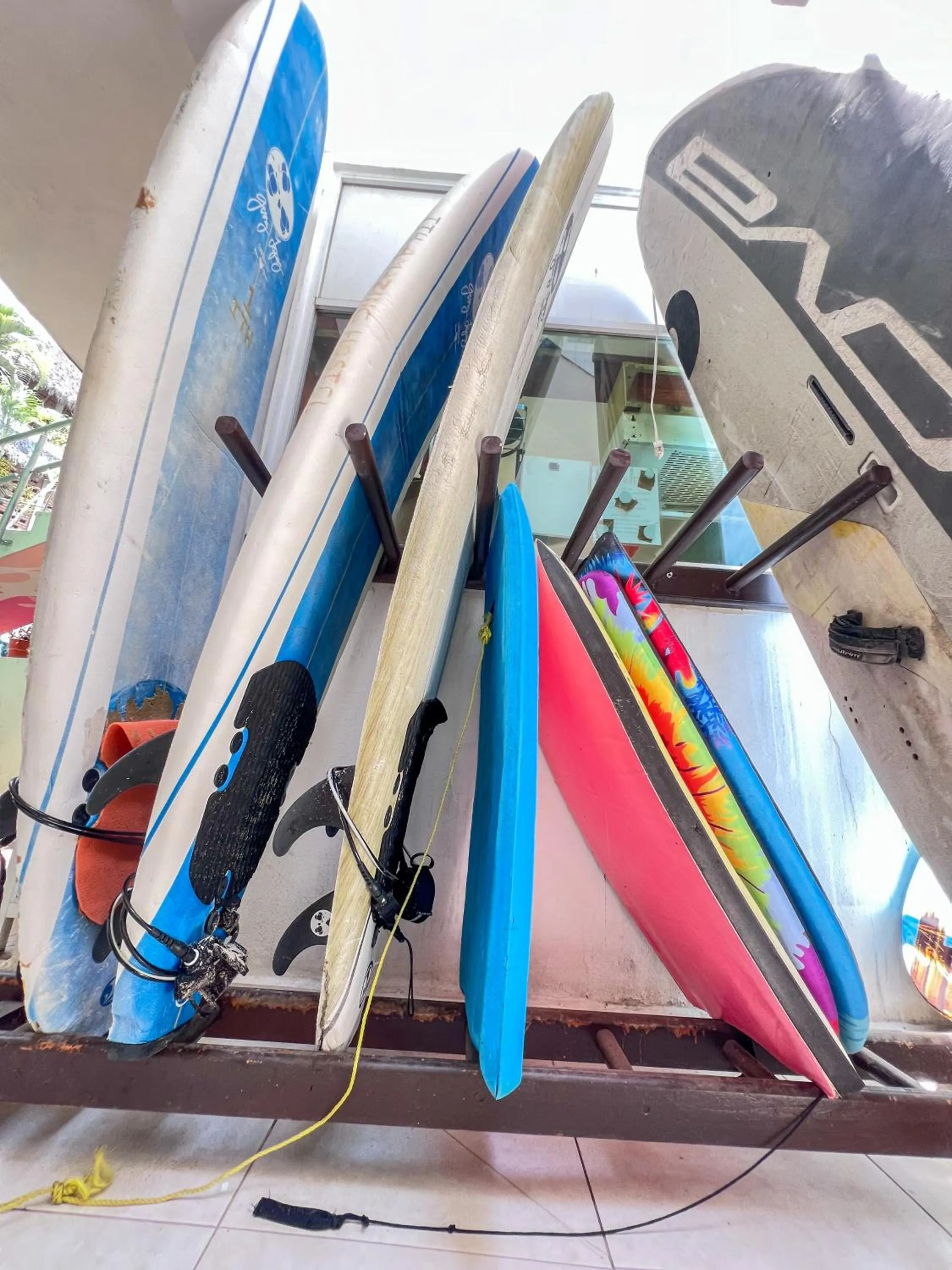 Activities in ITH Sayulita Amazing Surf Hostel