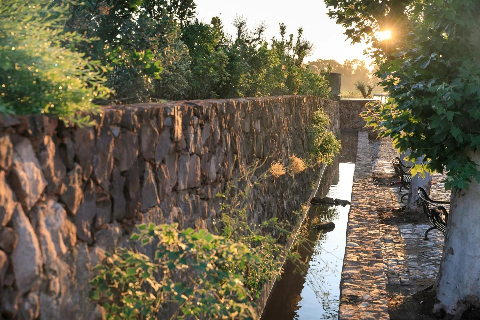 Natural landscape in Château Saint Roux Le Luc-Le Cannet des Maures