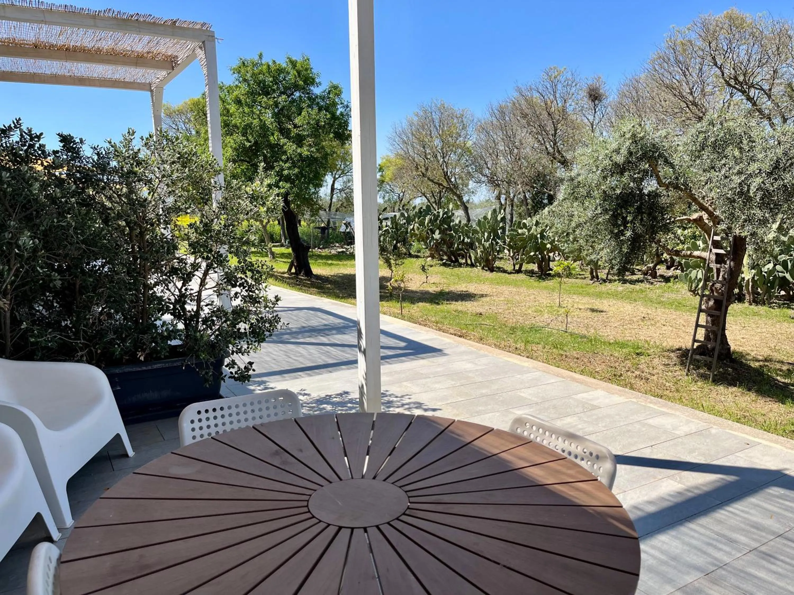 Garden in Dimora di Dante