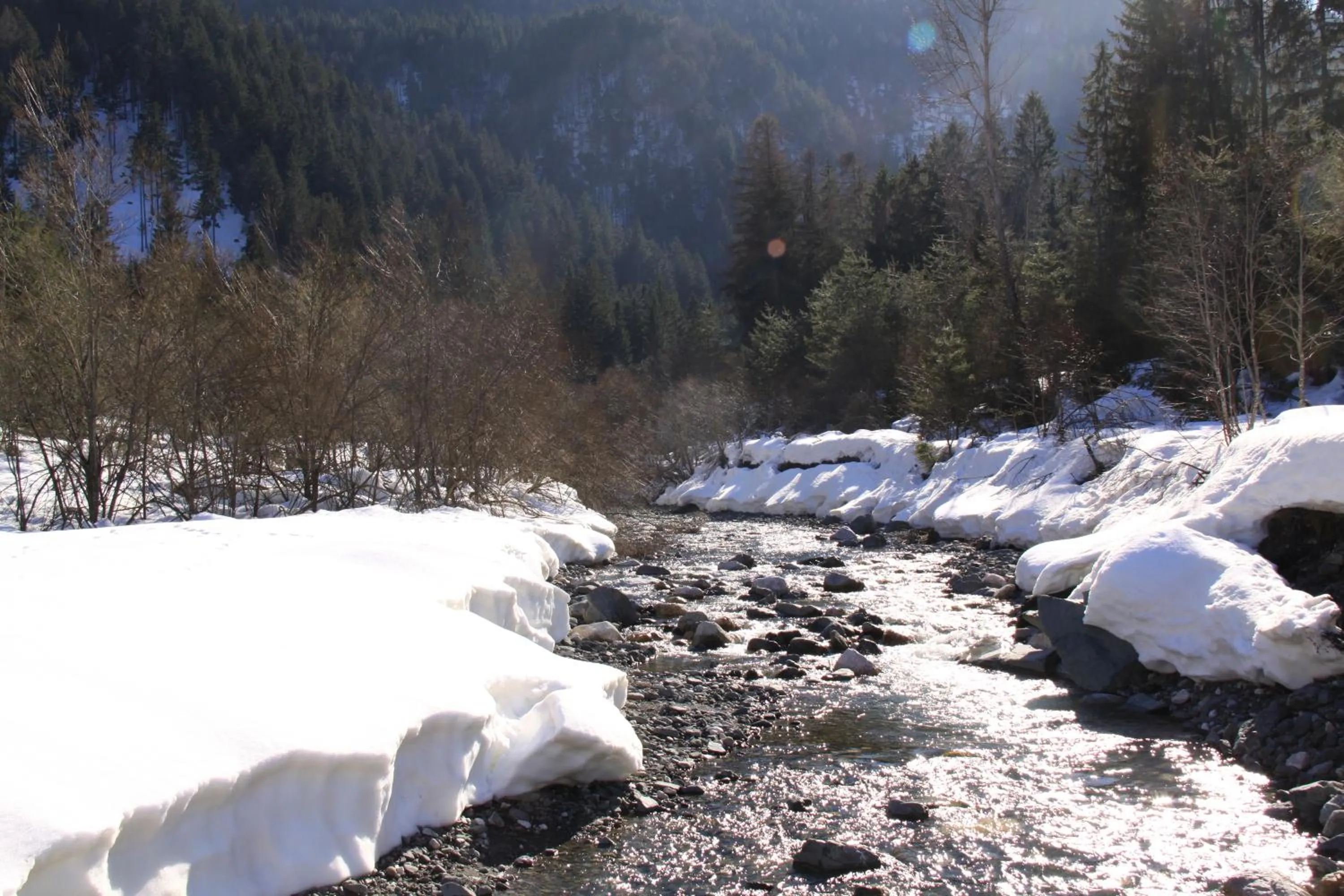 Winter in Hotel Sonnleitn