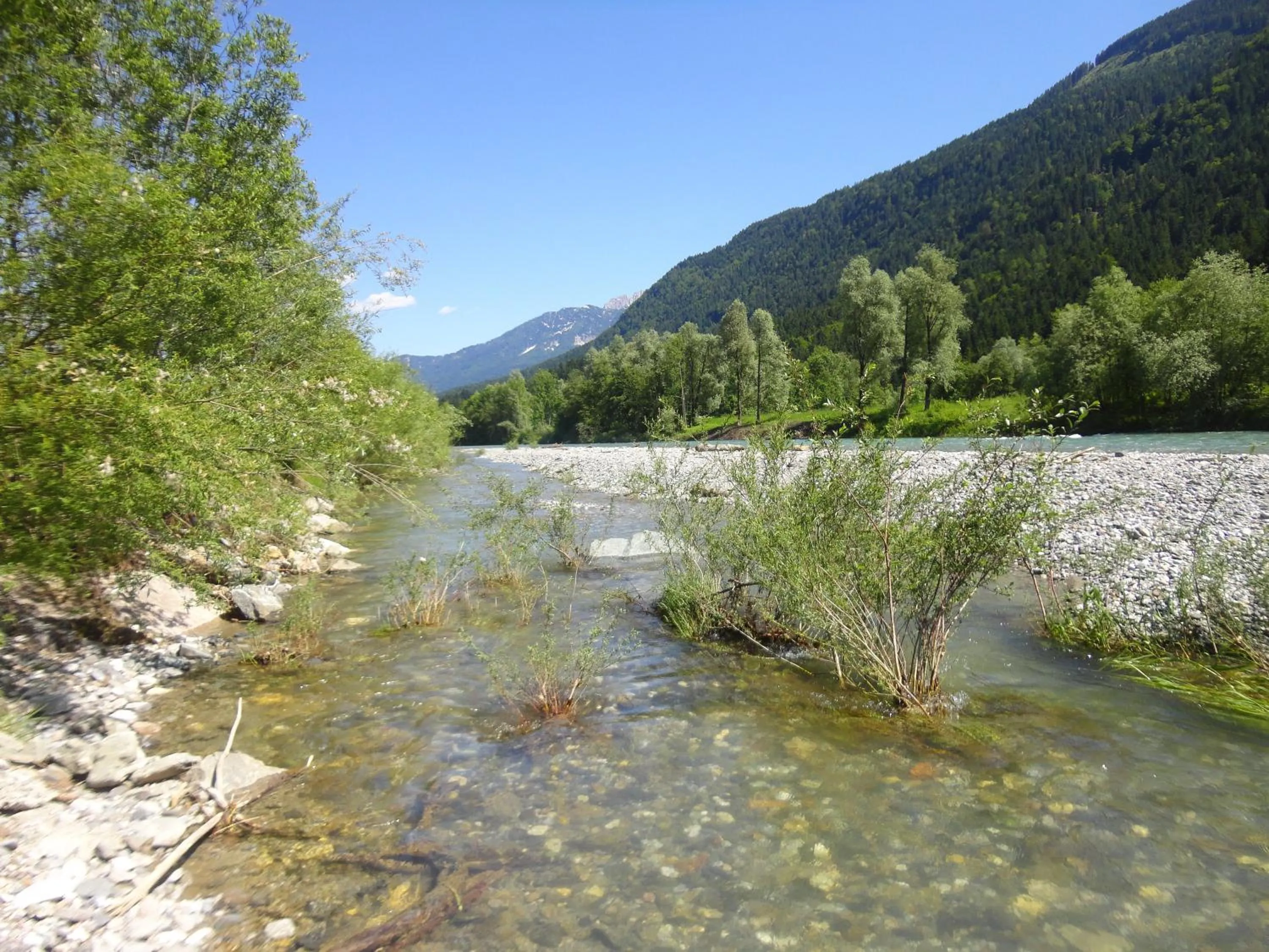 Summer in Hotel Sonnleitn