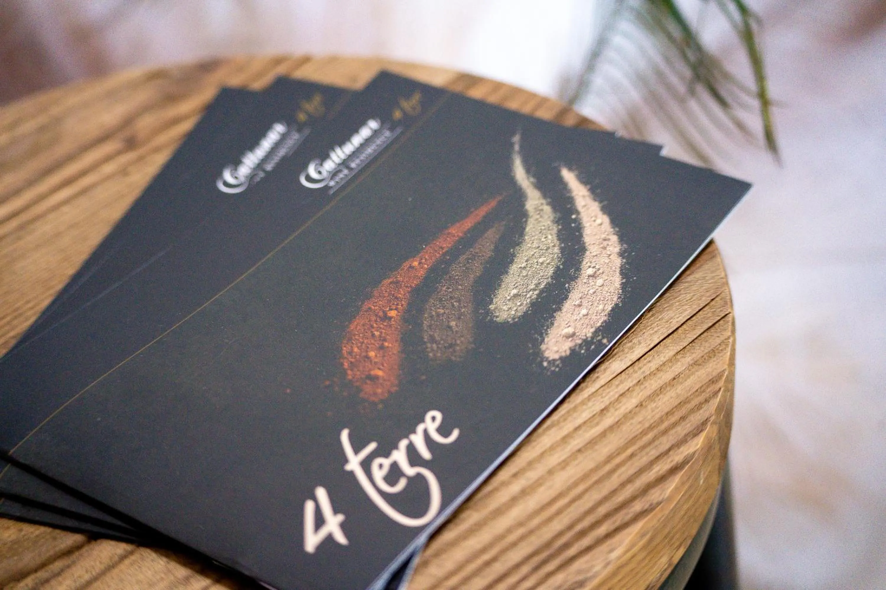 Decorative detail in Wine Residence Cattunar