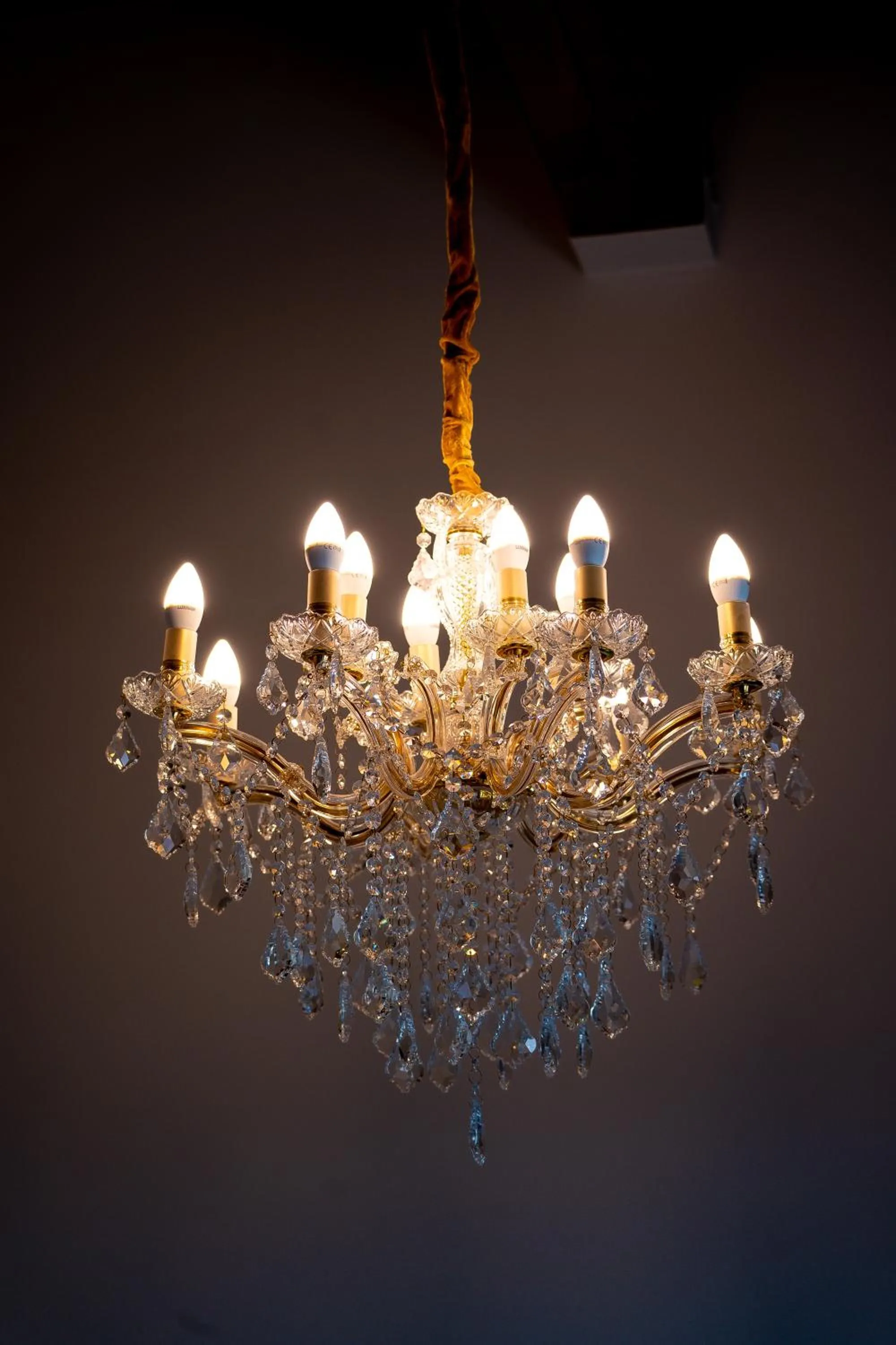 Decorative detail in Wine Residence Cattunar