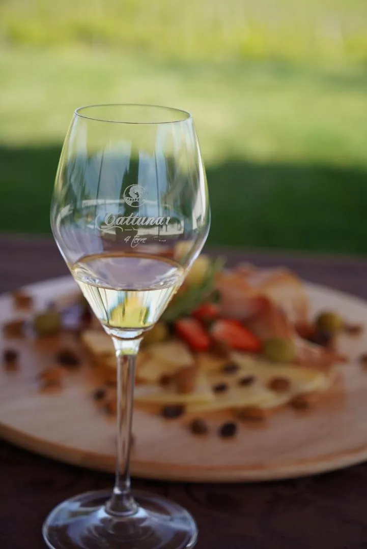 Garden in Wine Residence Cattunar