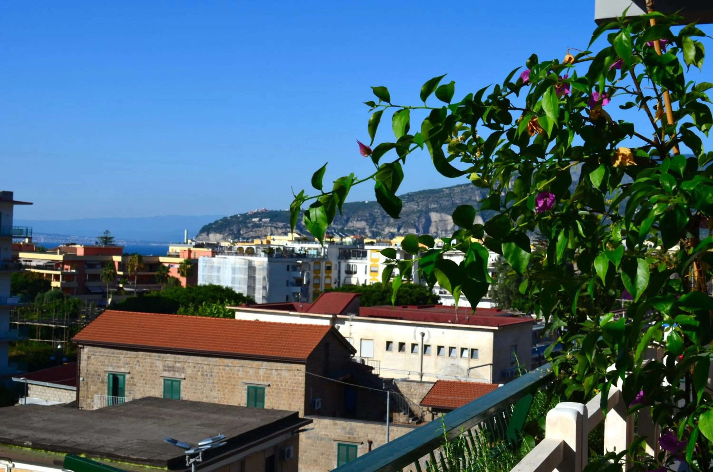 View (from property/room) in Luiselle Charming Accommodation Sorrento City Center