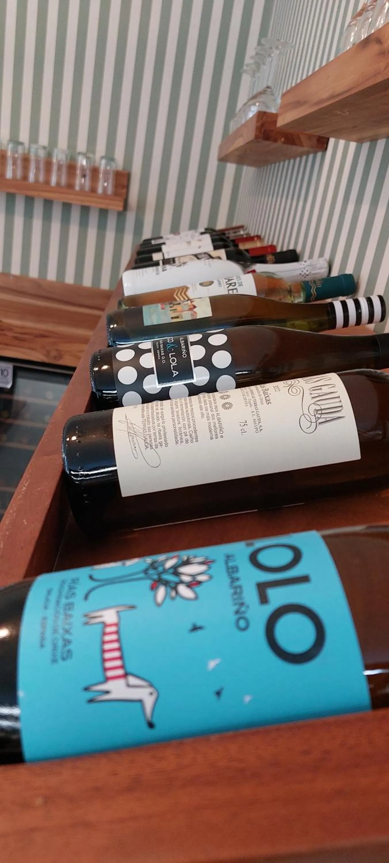 Lounge or bar in Hotel Pedasí Nature Paradise