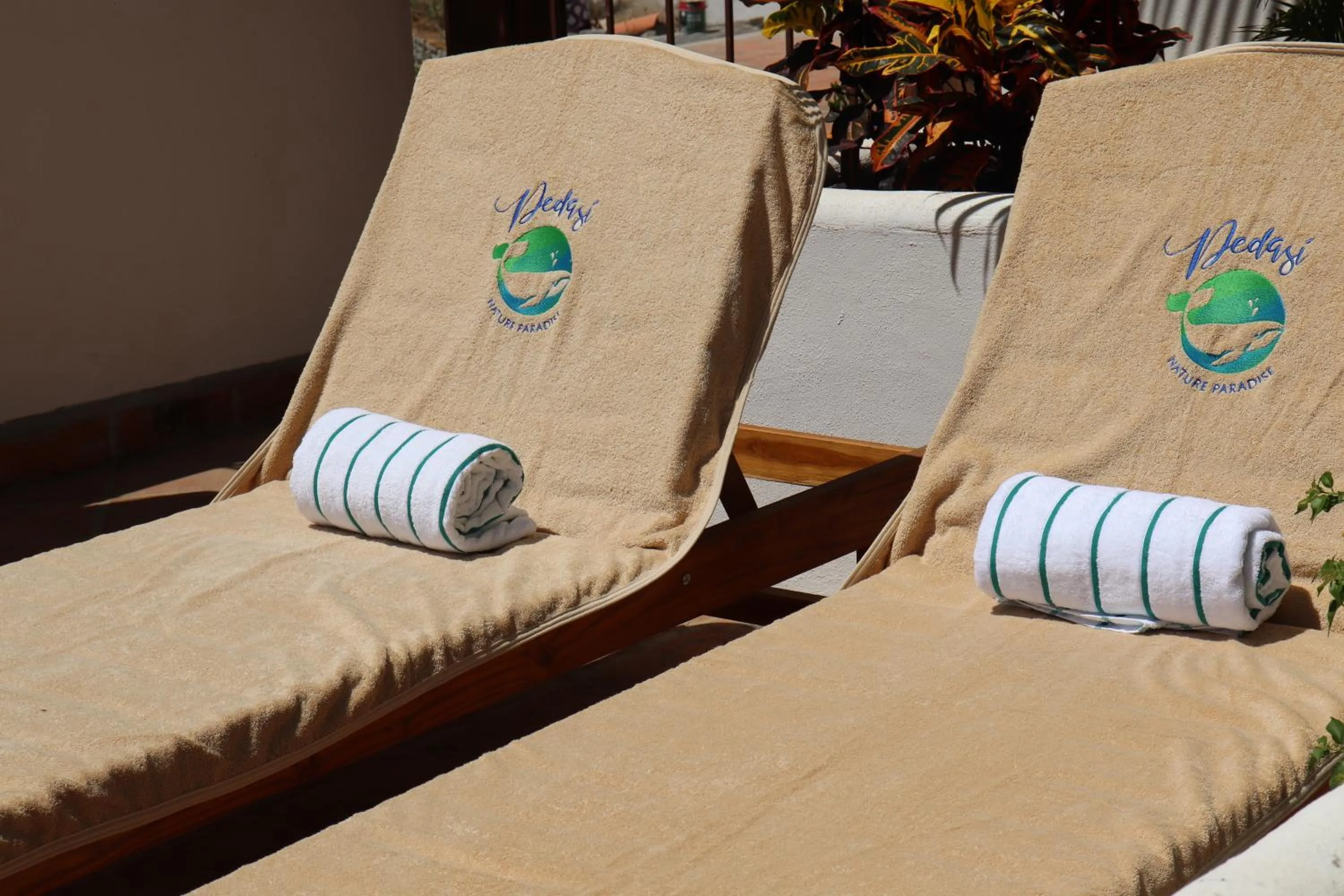  in Hotel Pedasí Nature Paradise