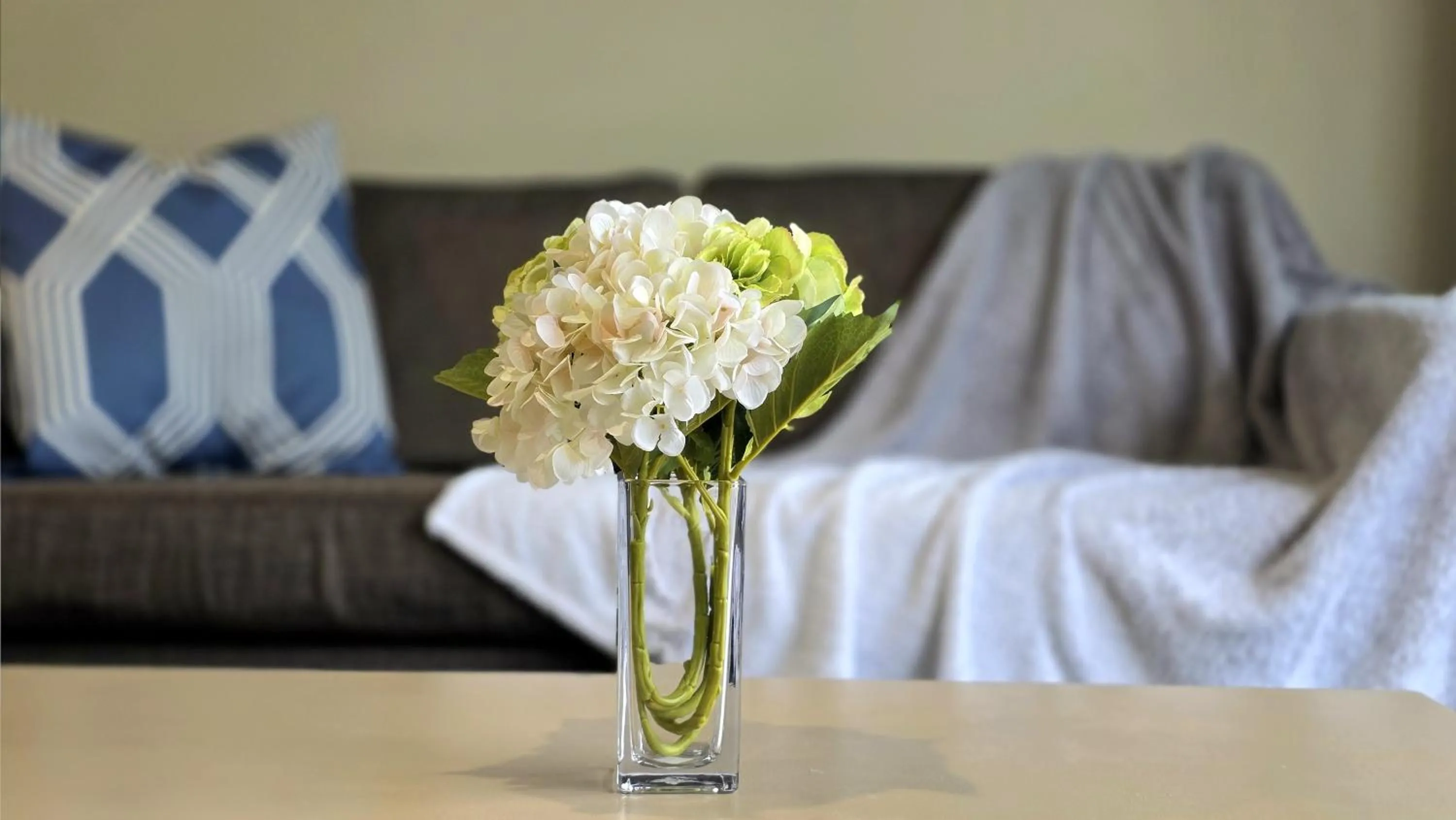 TOWER JUNCTION MOTOR LODGE - Airport and Christchurch railway station Shuttle Service