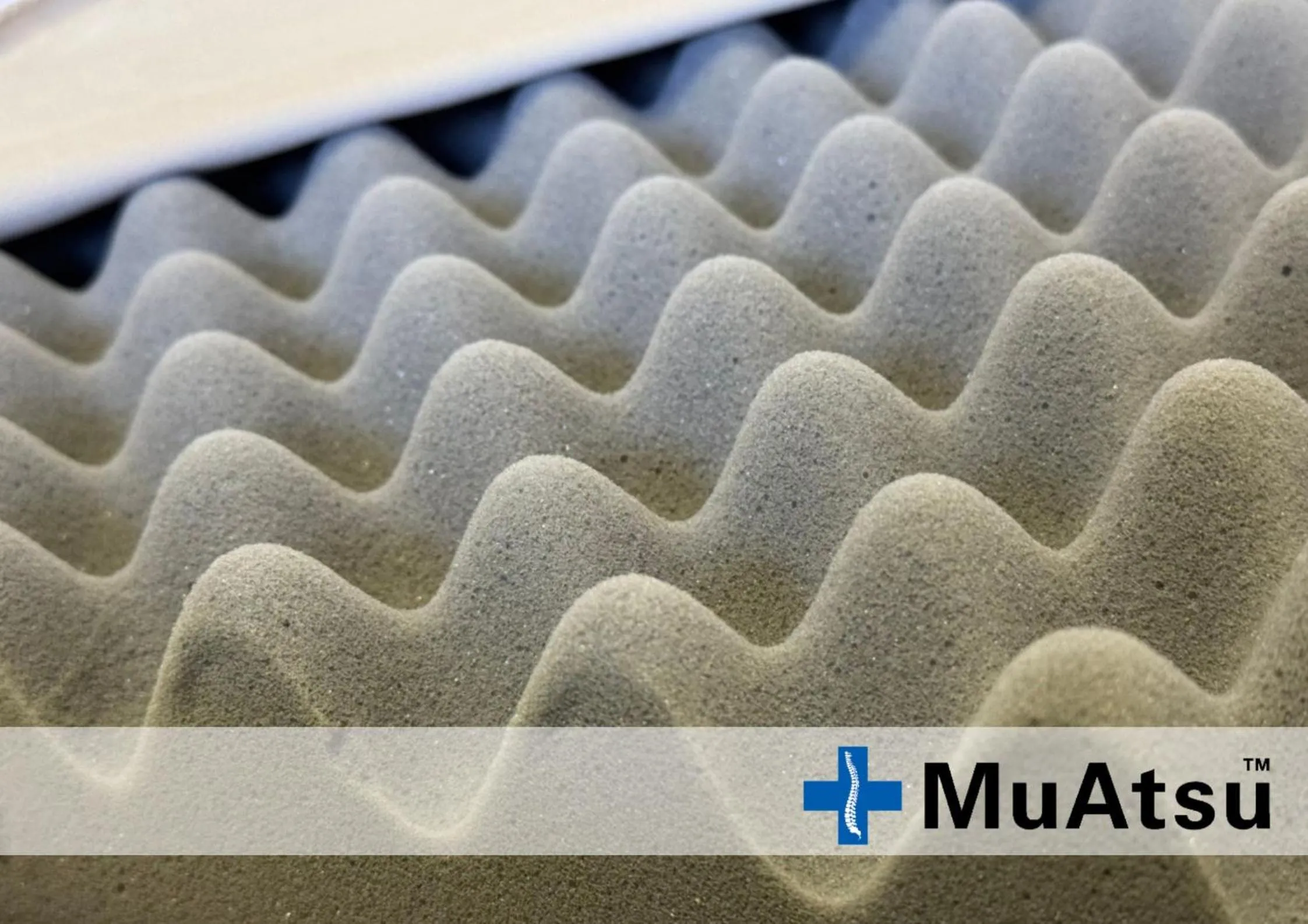 Kur and Hotel Shinshu