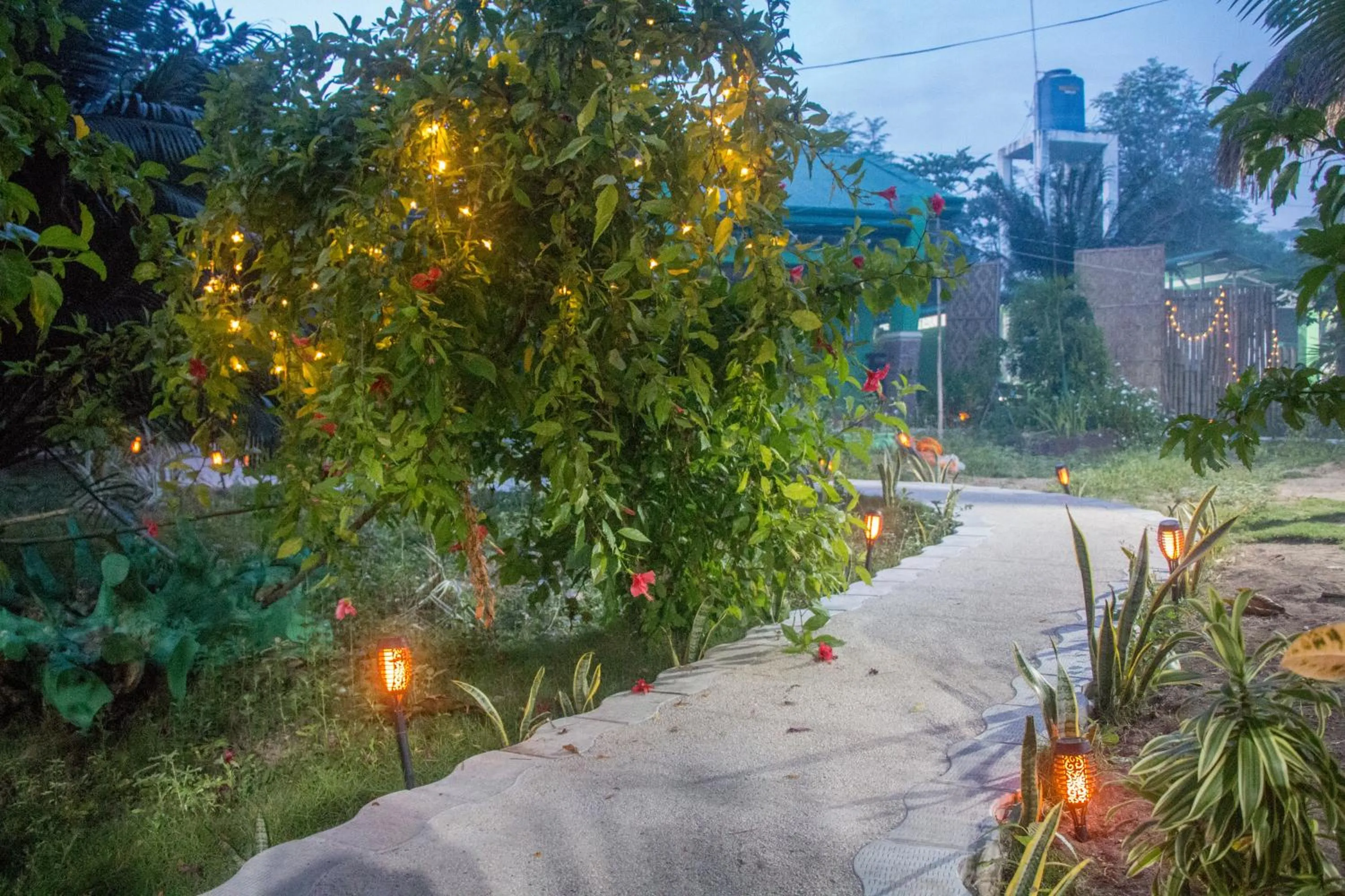 Garden in Moonlight Resort