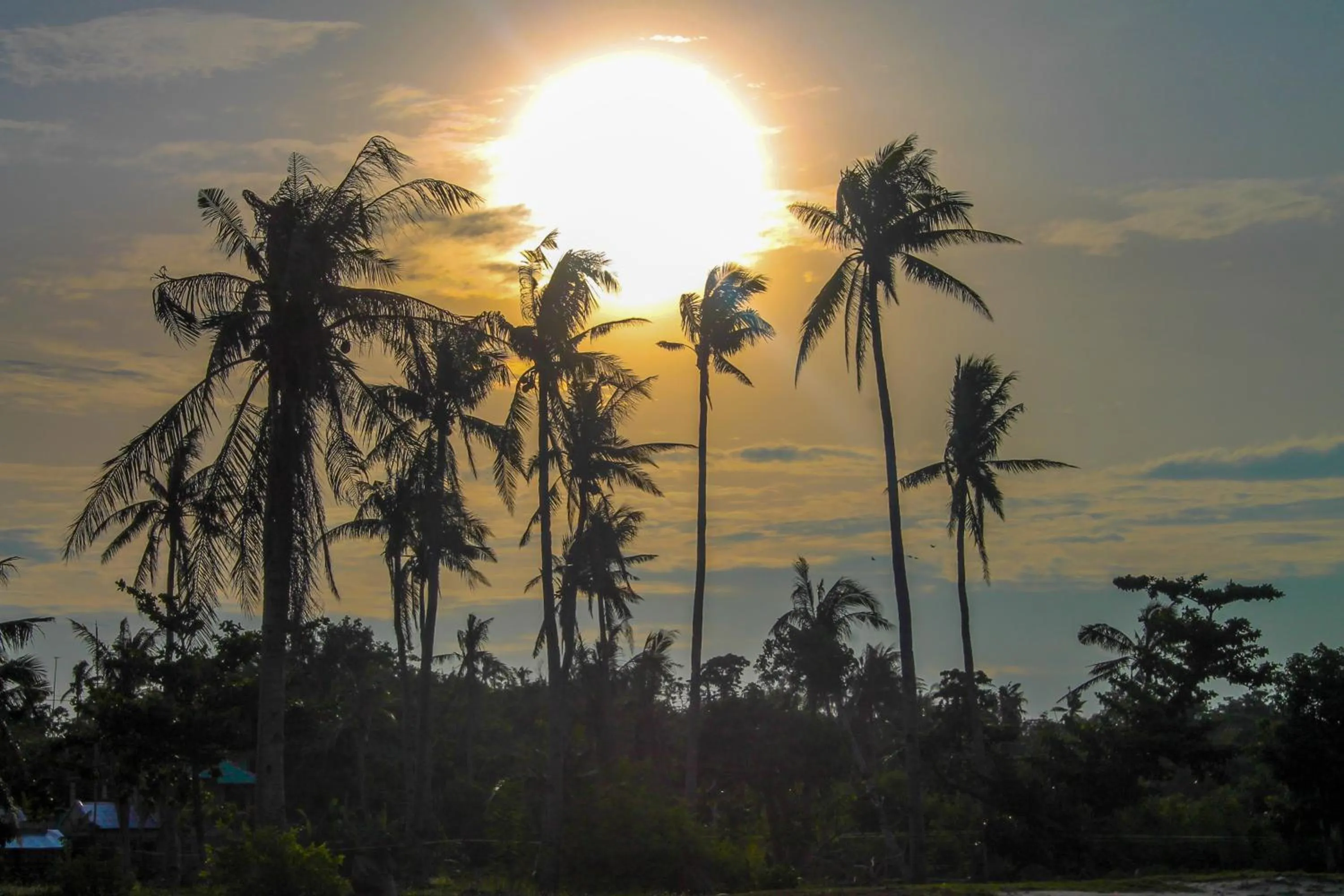 Beach in Moonlight Resort