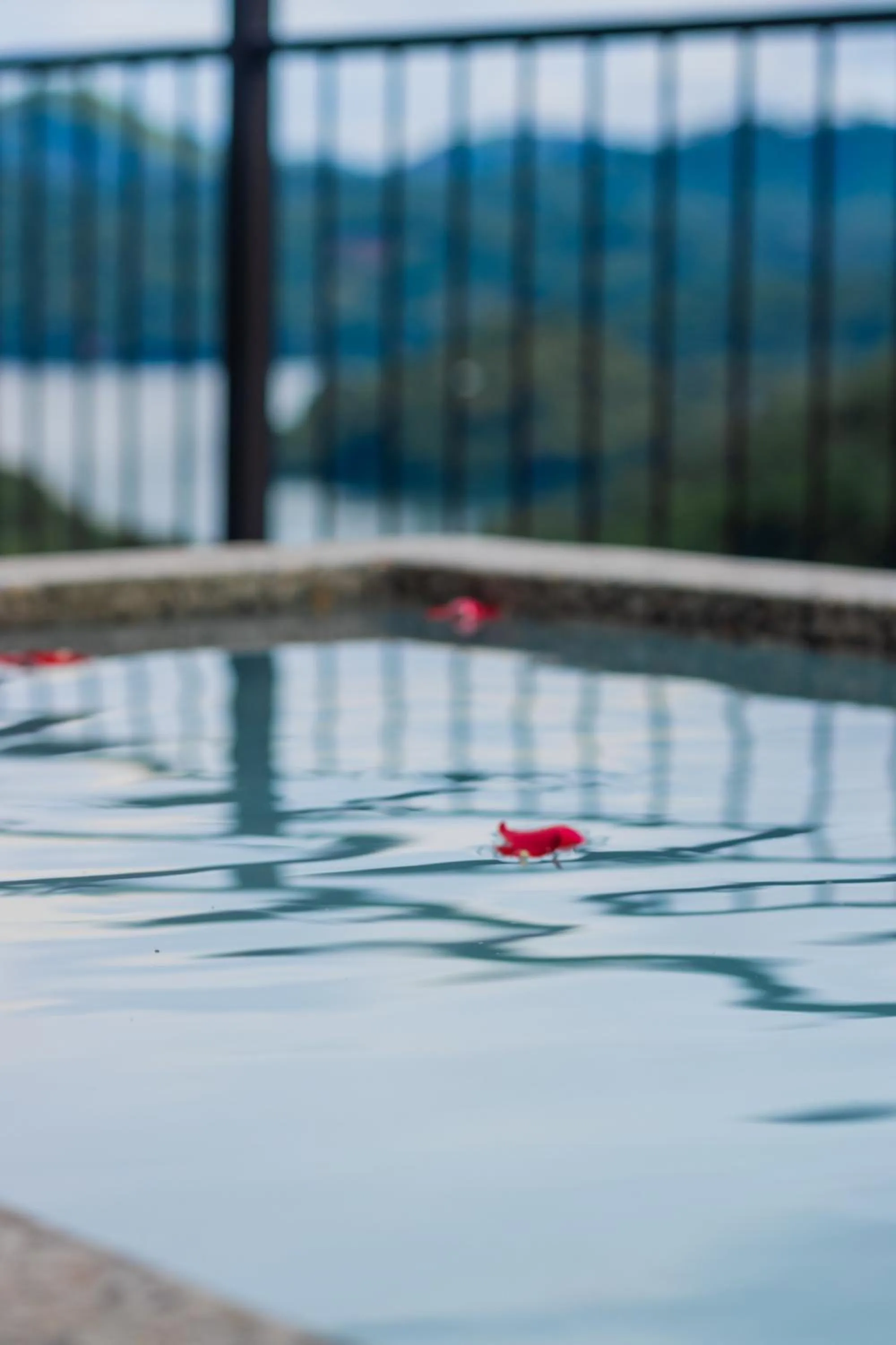 View (from property/room) in Kandy Victoria Eco Resort