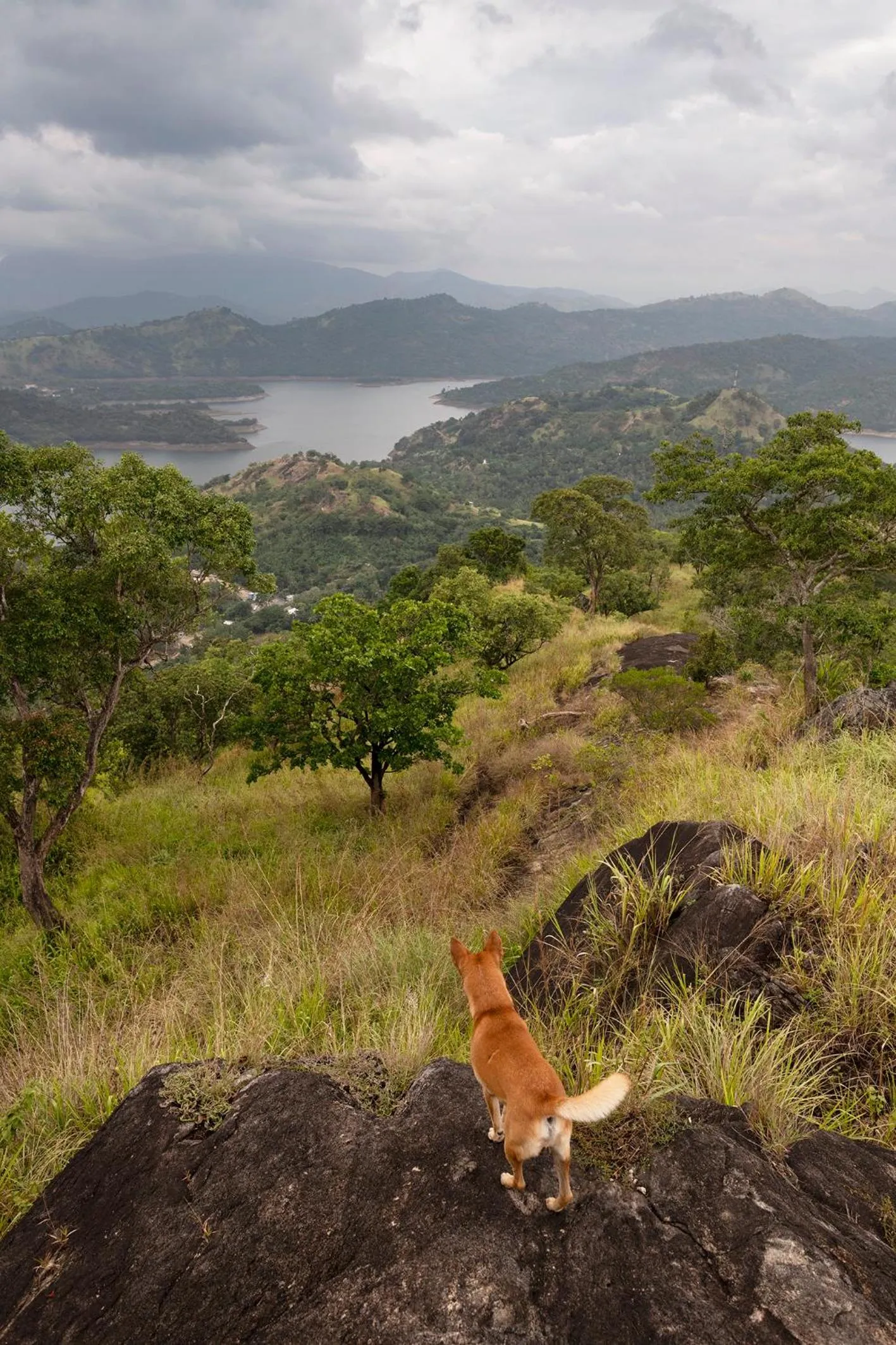 Hiking in Kandy Victoria Eco Resort