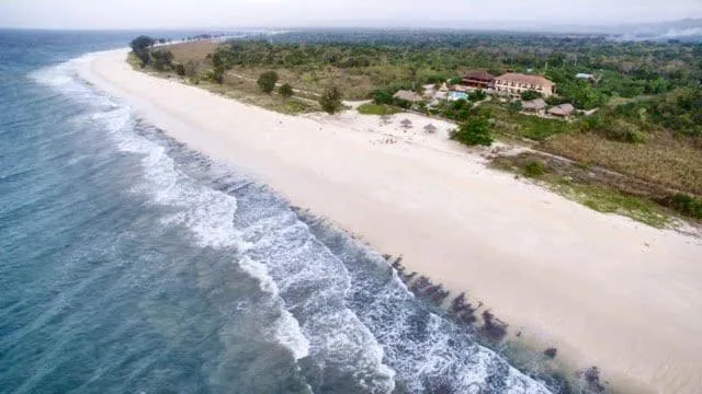 Mario Hotel and Cafe