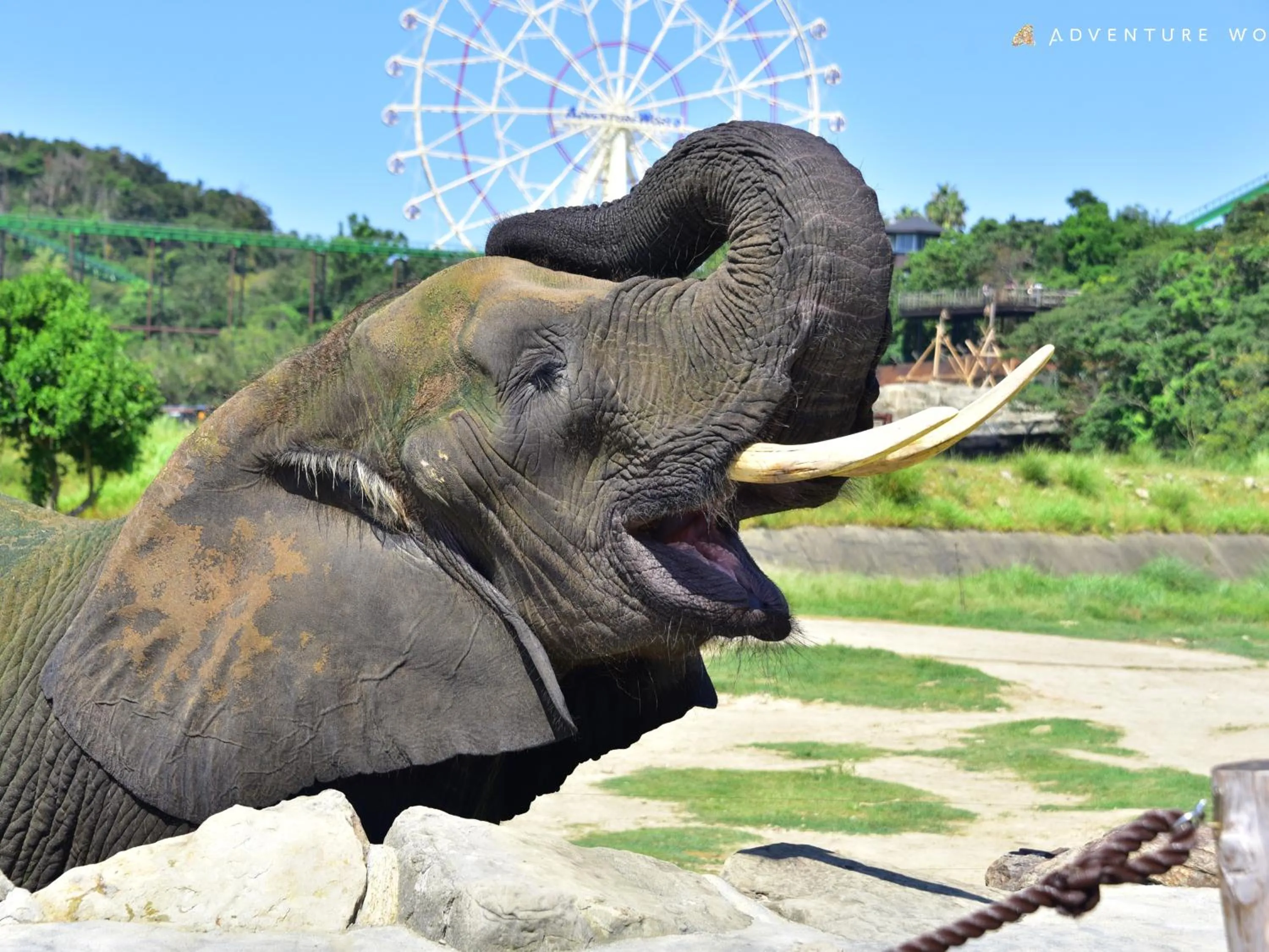 Nearby landmark in Musashi