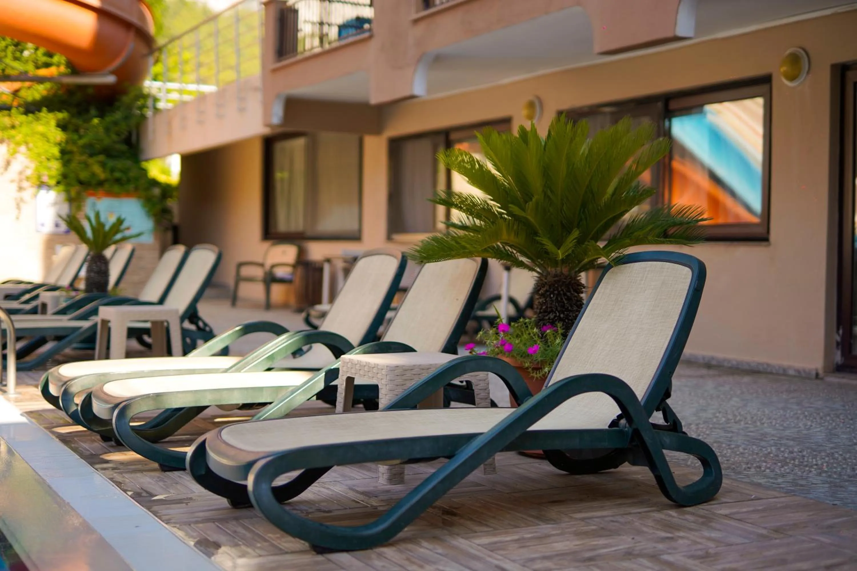 Day in Aleria Belport Beach Hotel