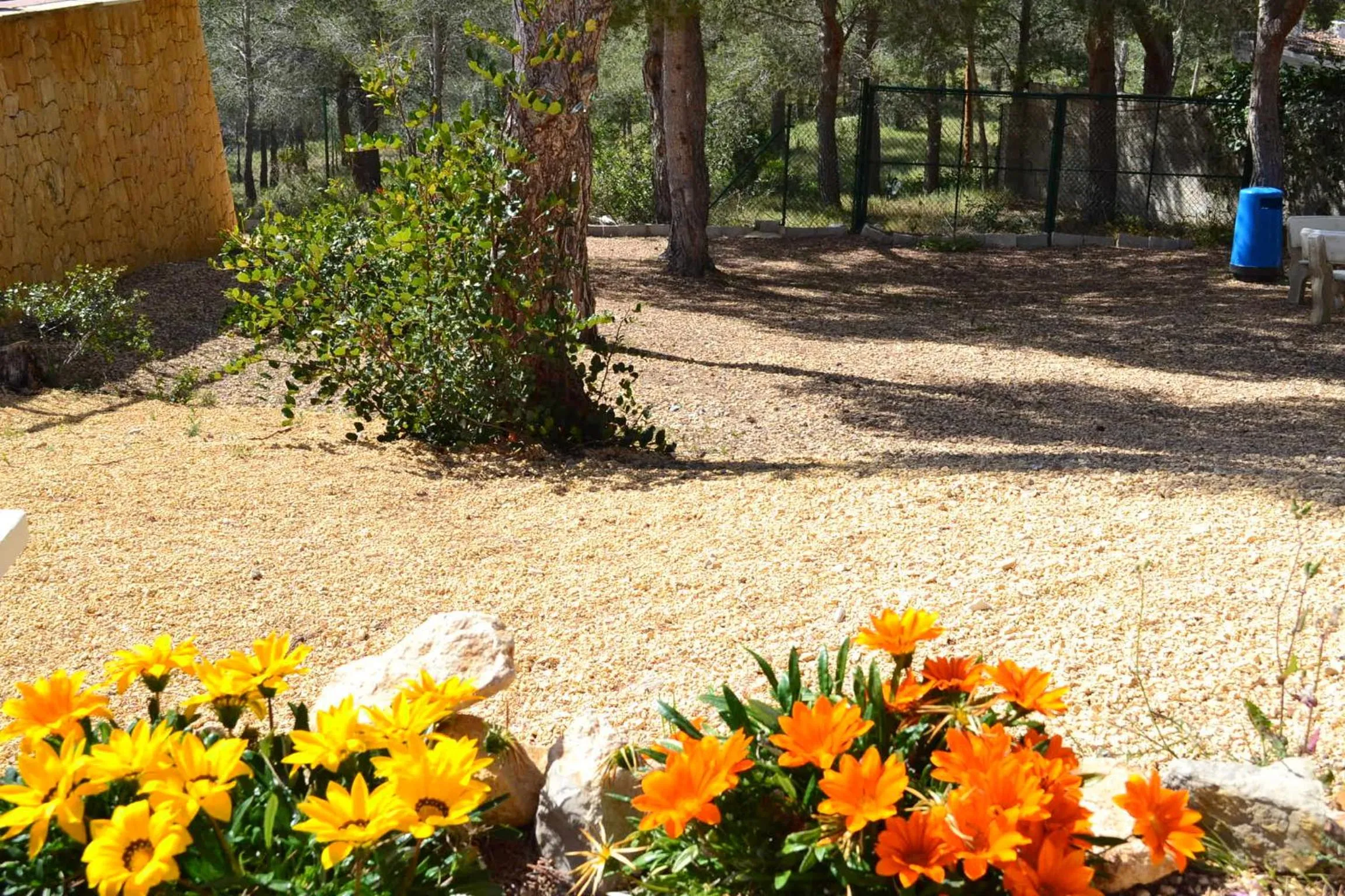 Garden in Hotel Finca Fabiola