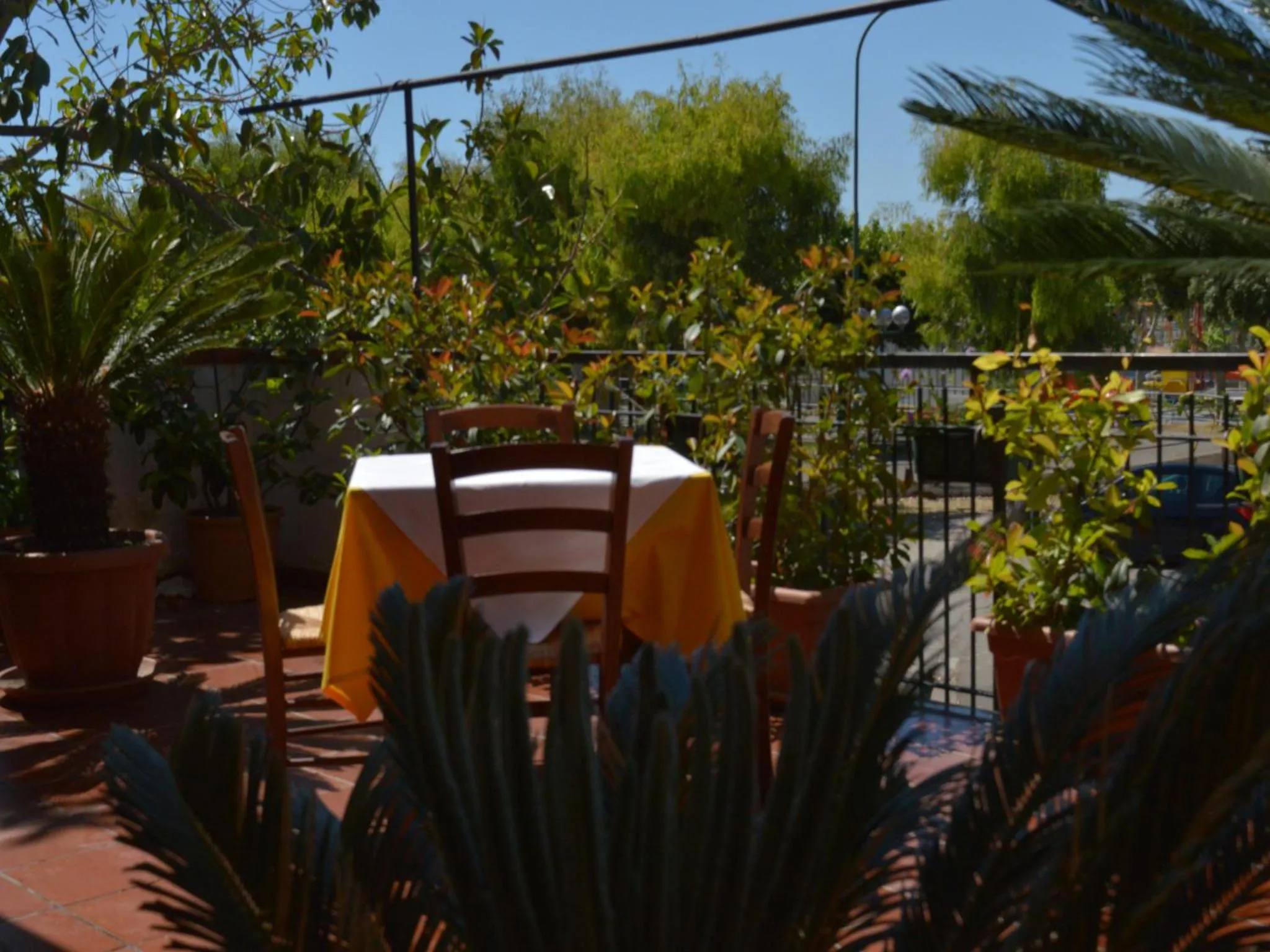 Garden in B&B Scalea Rooms