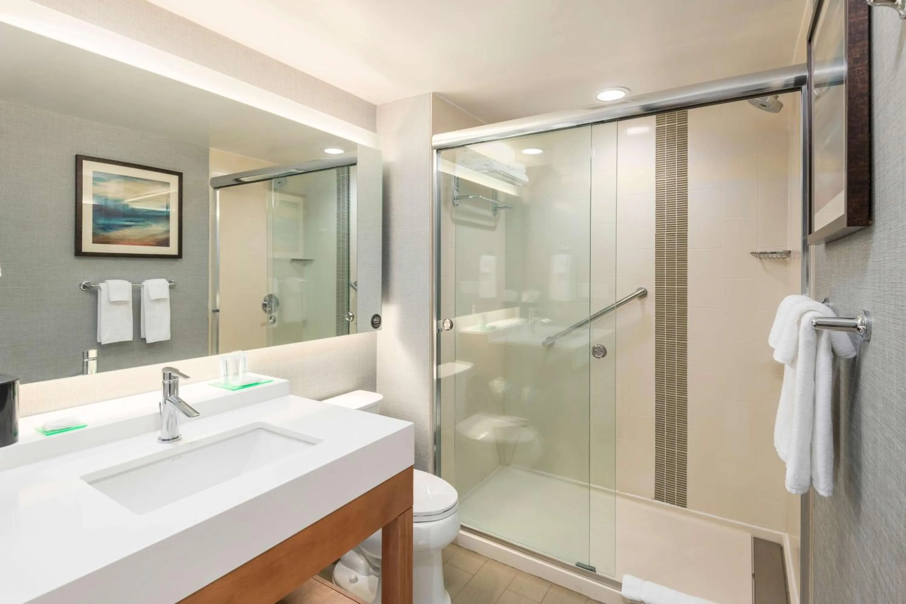 Bathroom in Hyatt Place Greenville Downtown