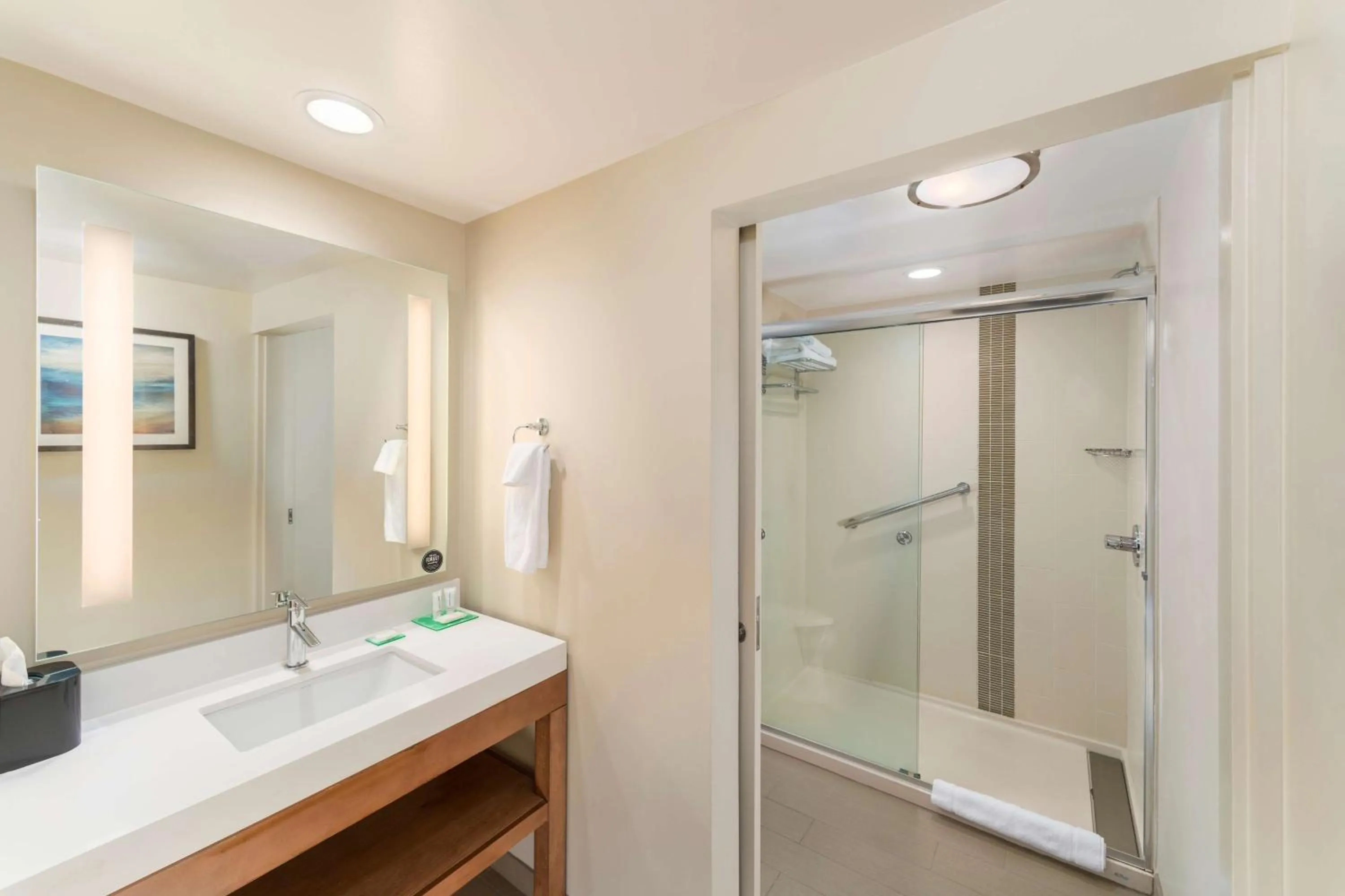 Bathroom in Hyatt Place Greenville Downtown