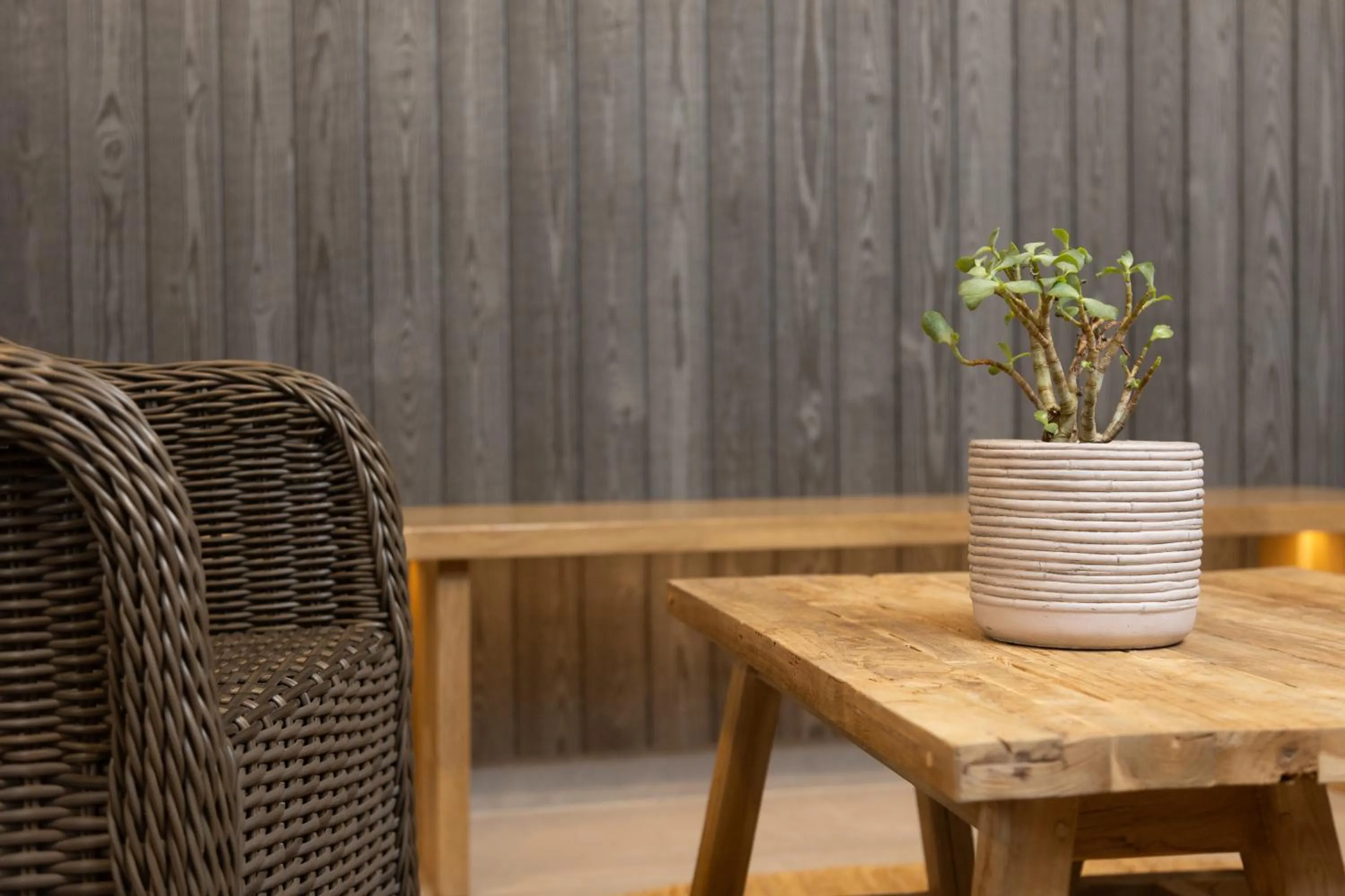 Finlandia Hotel Alba