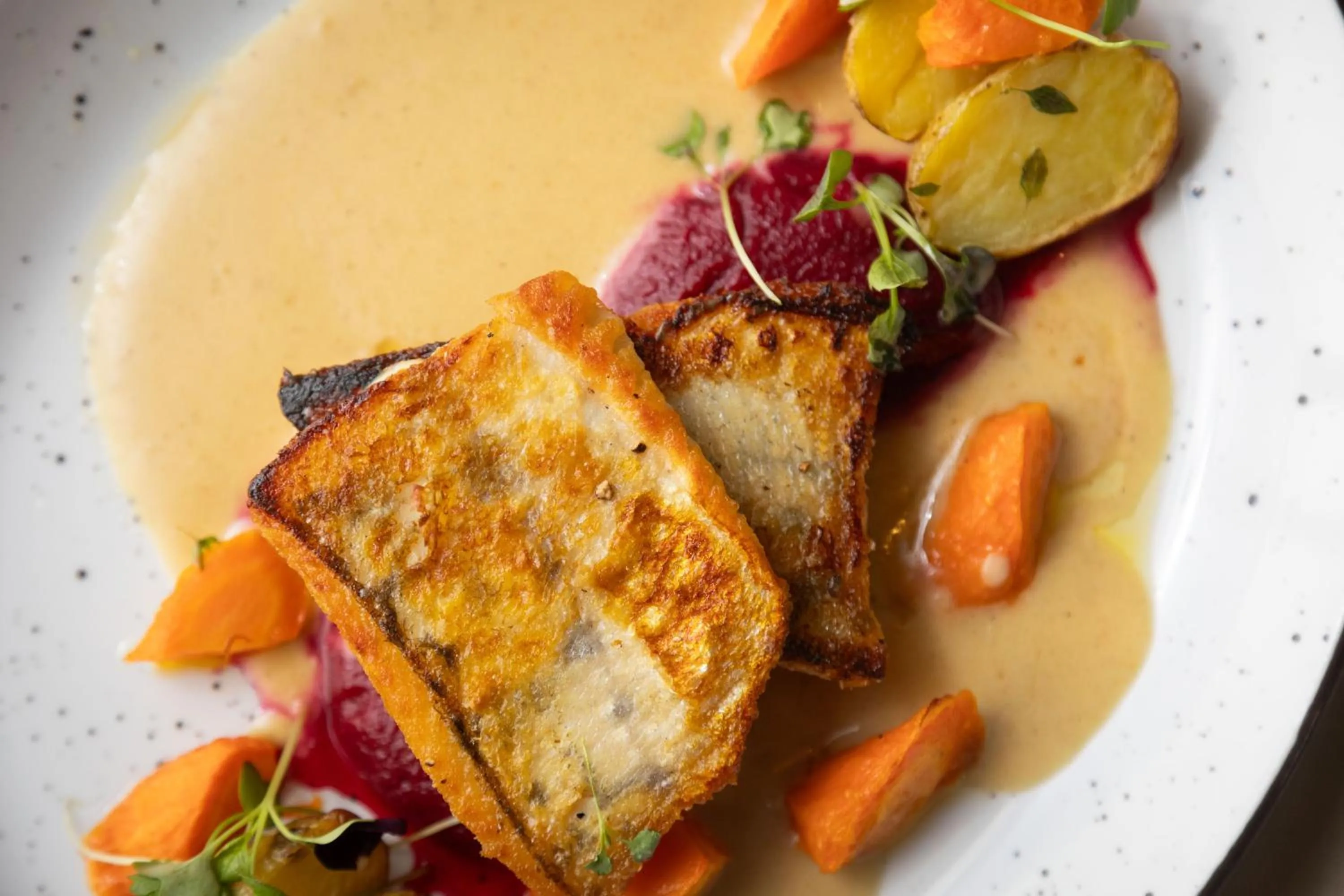 Finlandia Hotel Alba