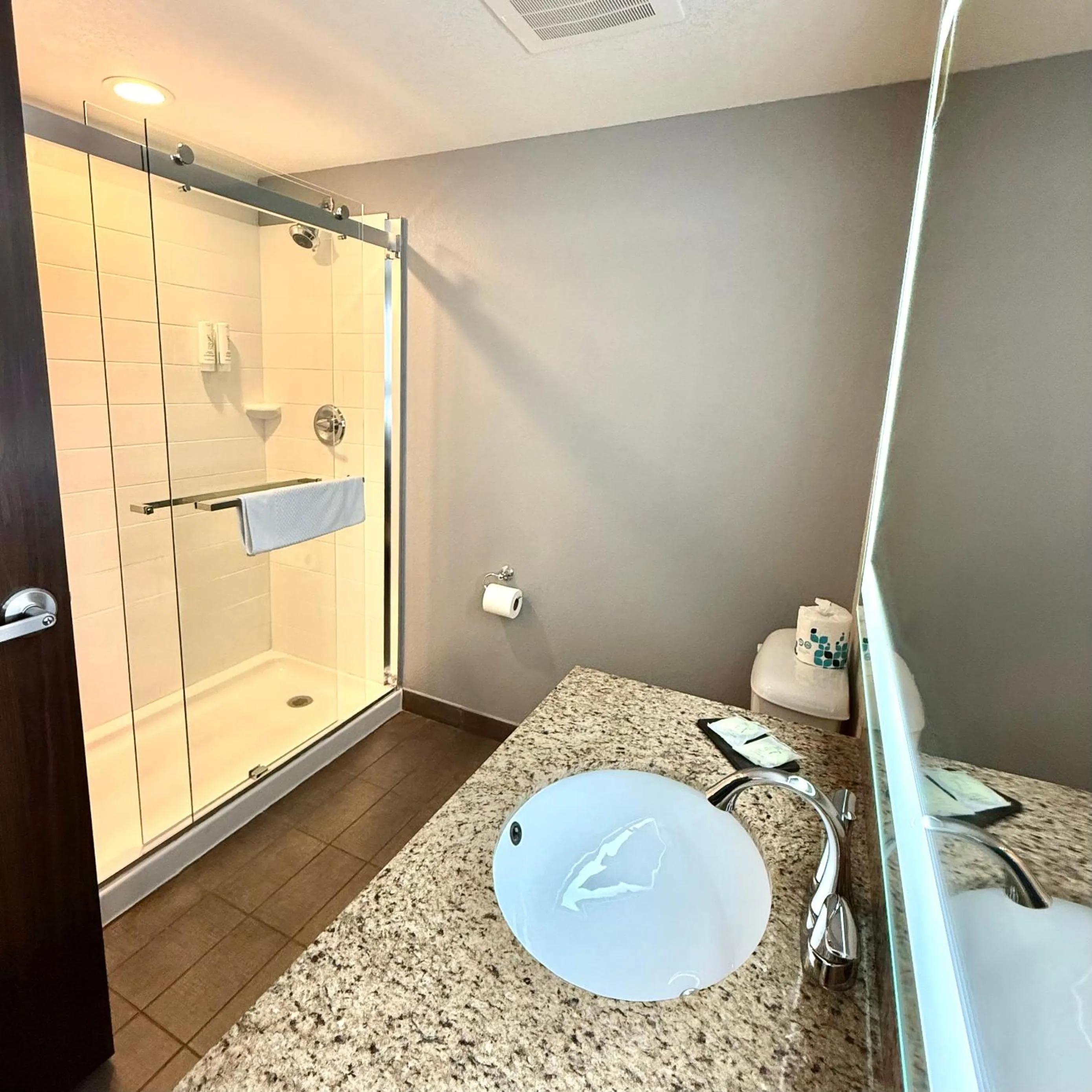 Bathroom in Sleep Inn & Suites Denver International Airport