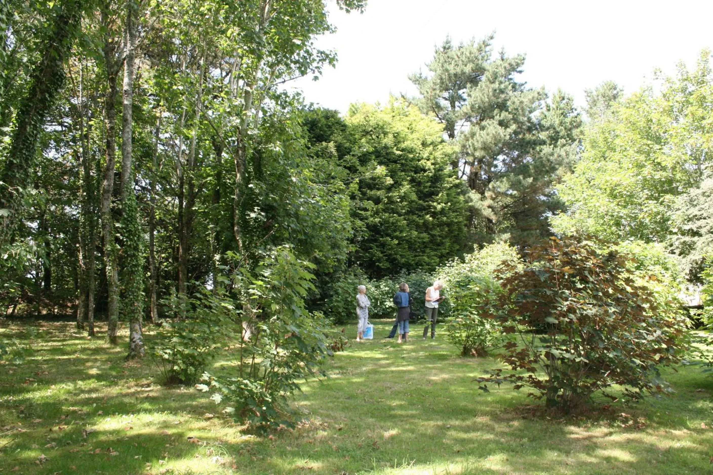 Area and facilities in Logis Latitude Ouest Hôtel Restaurant & Spa