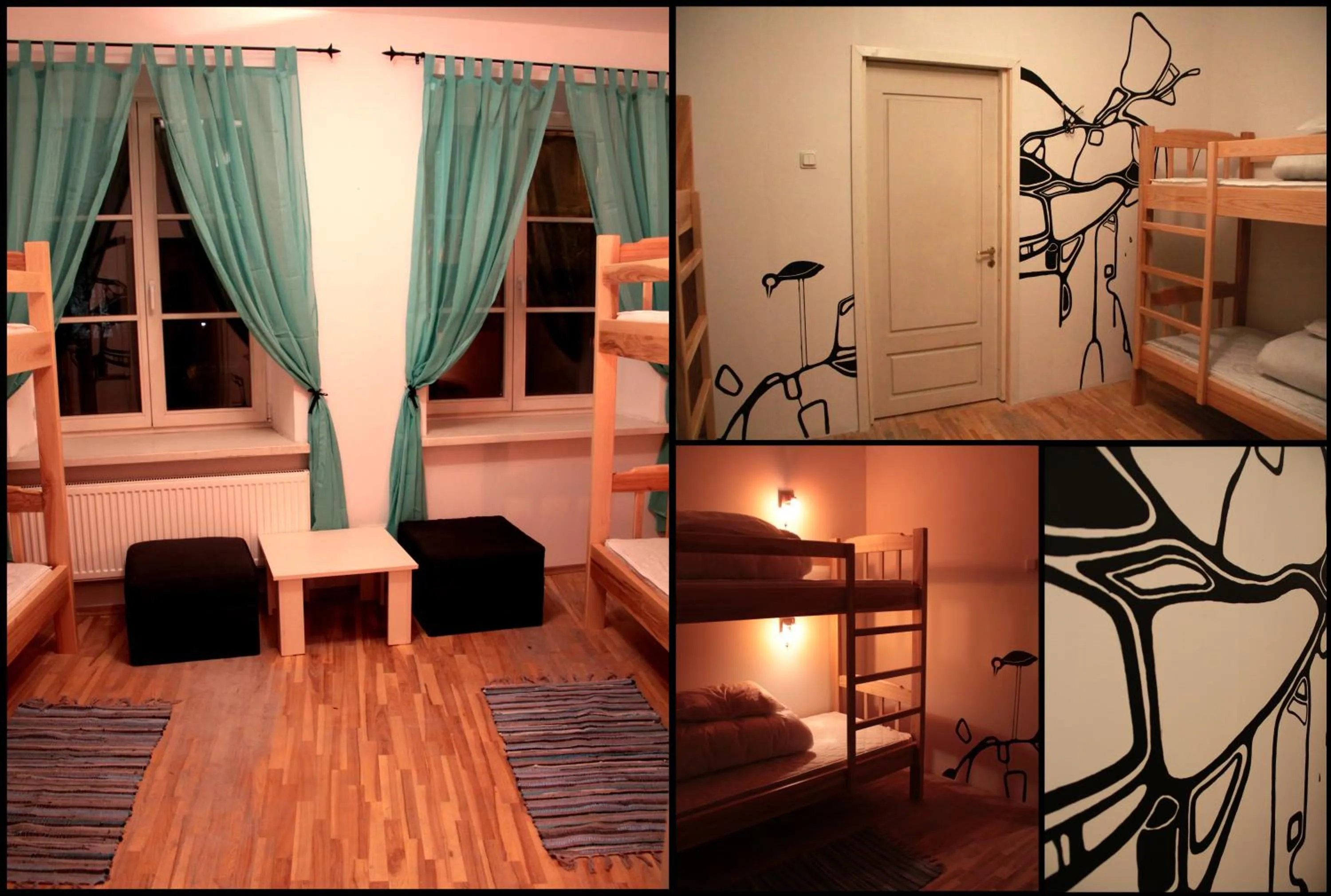 Photo of the whole room in Pogo Hostel
