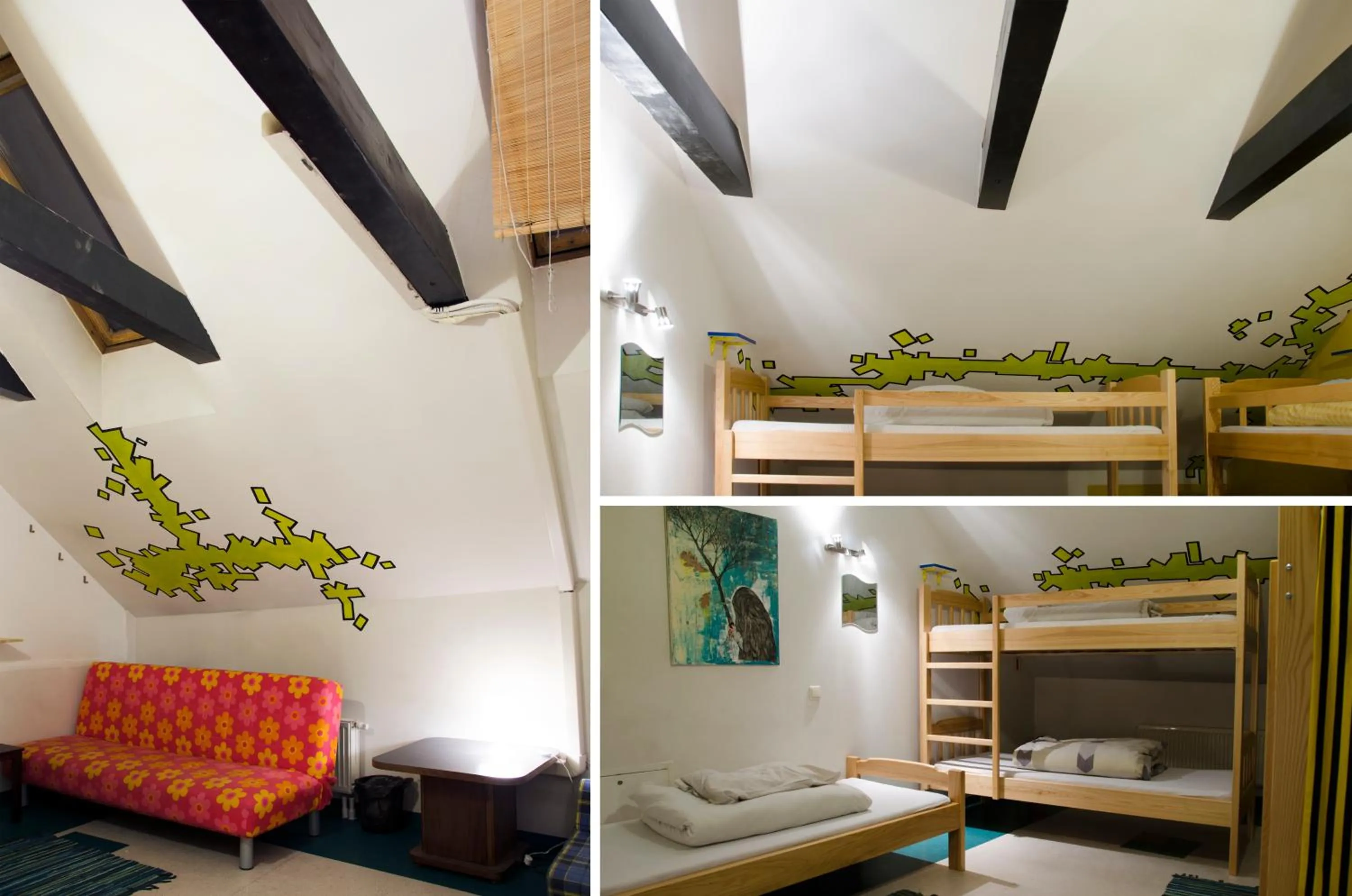 Photo of the whole room in Pogo Hostel