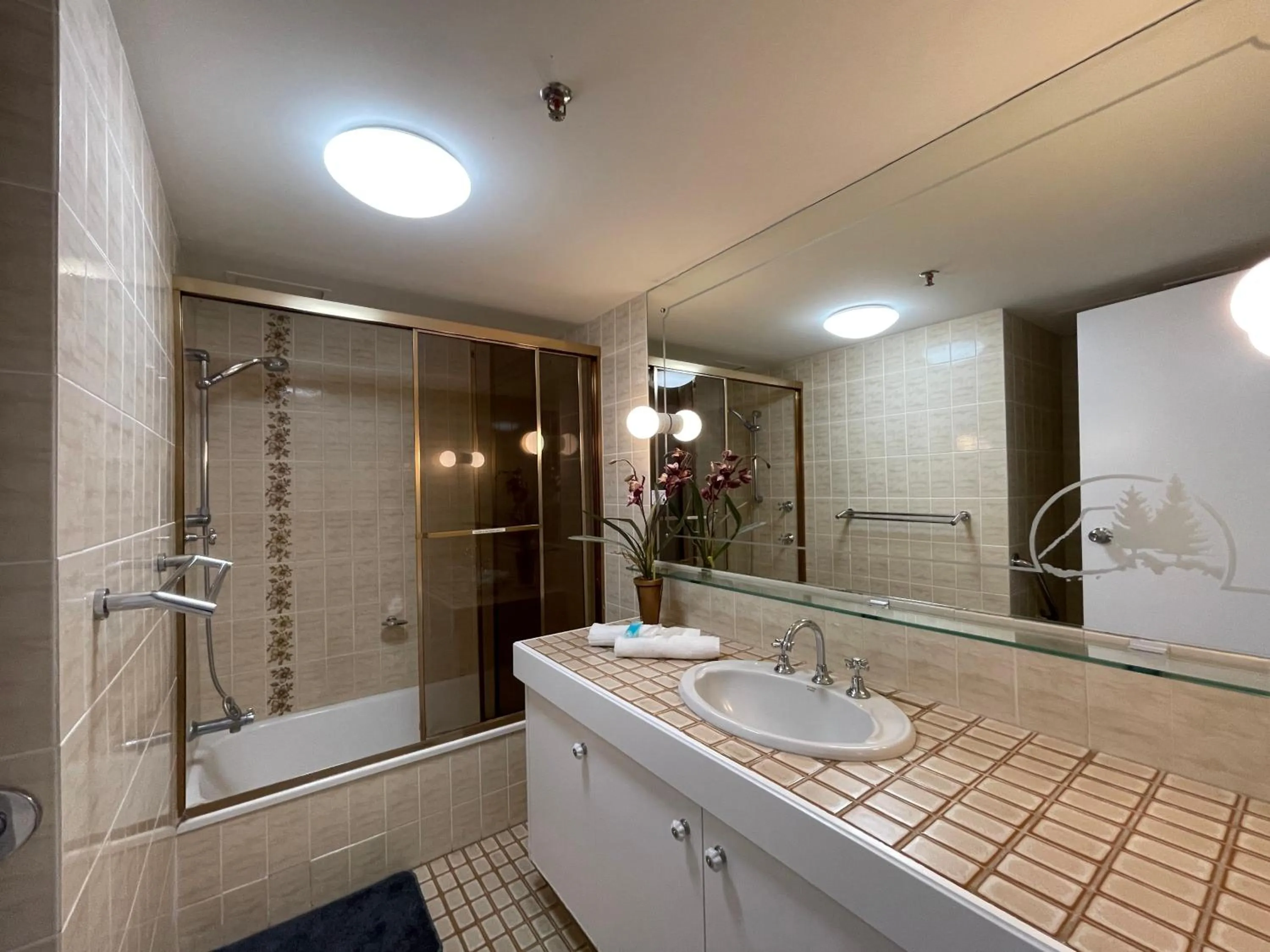 Shower in Gemini Court Holiday Apartments