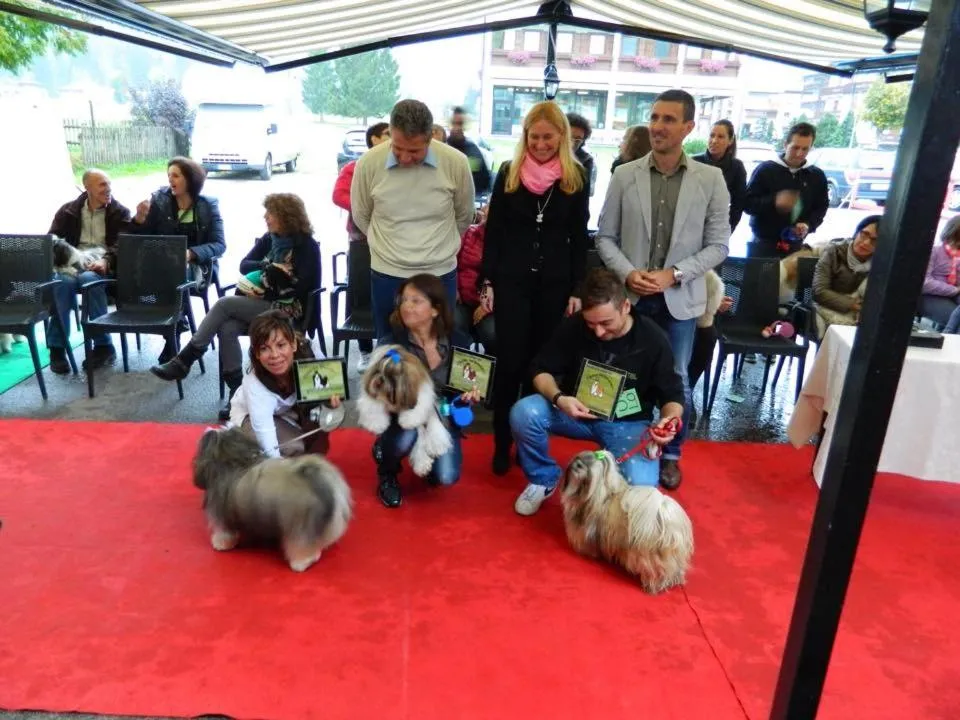 Pets in Hotel Stella Alpina