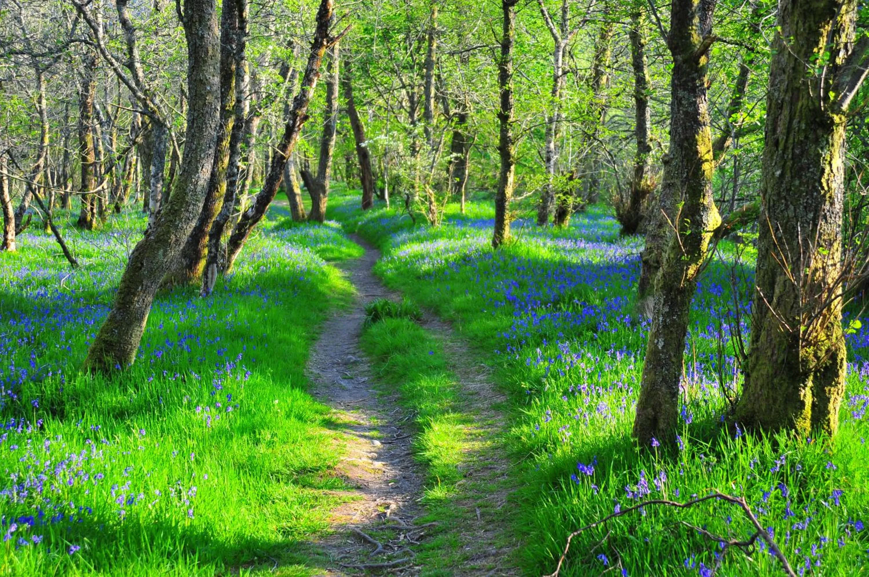 Achintee Farm Guest House