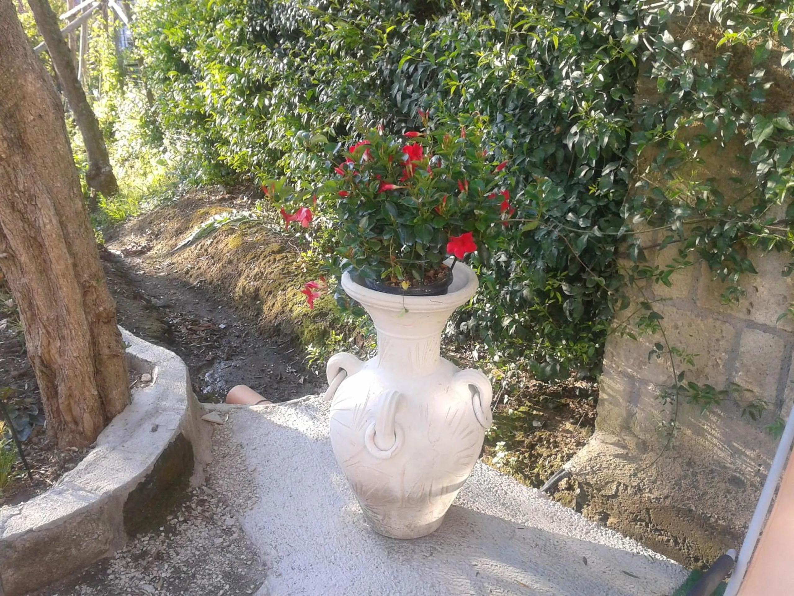 Other in Il Cottage B&B