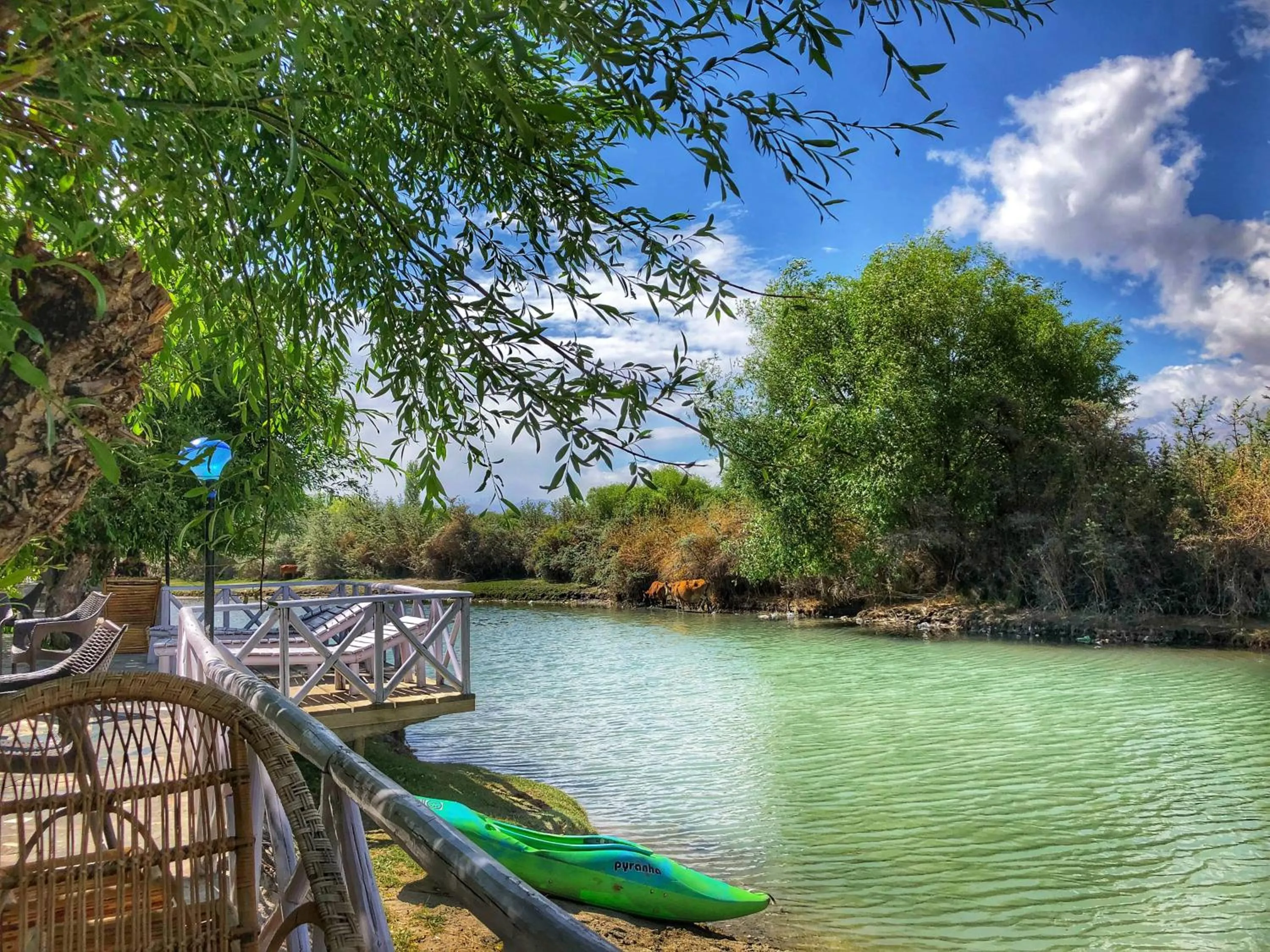 River view in The Nature Residency - A Riverside Resort in Leh
