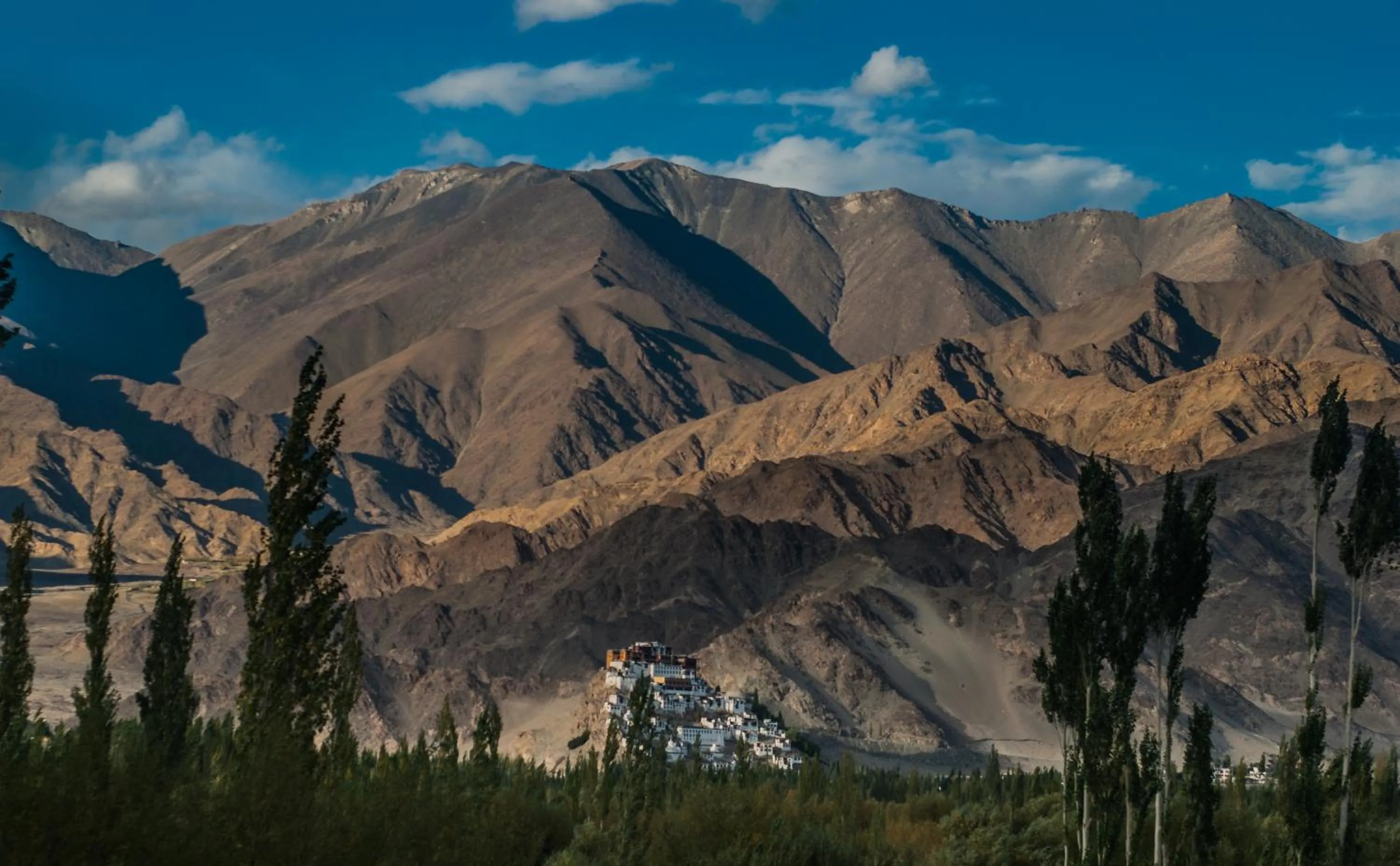 Mountain view in The Nature Residency - A Riverside Resort in Leh