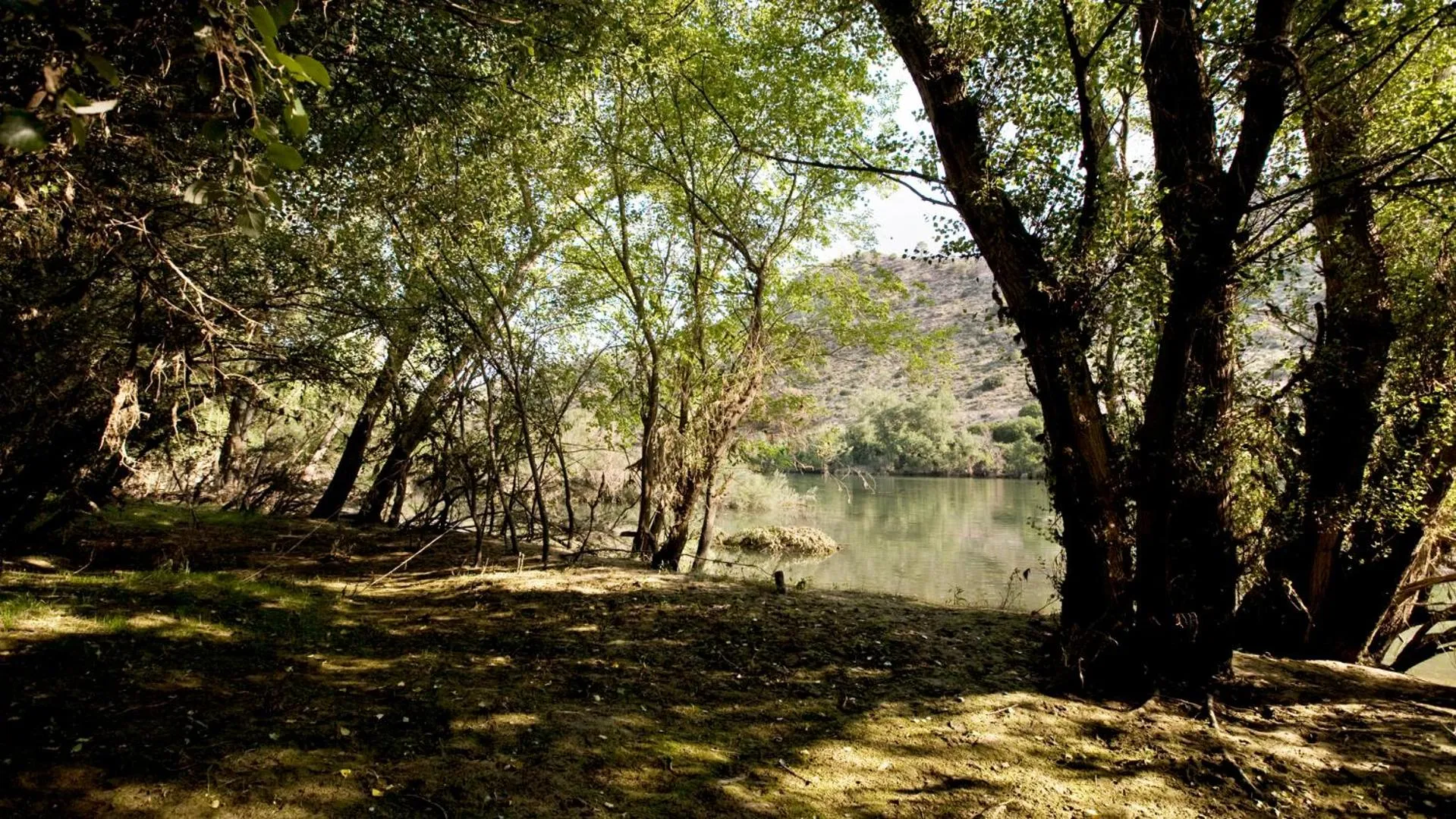 Area and facilities in Hotel Vilar Riu de Baix