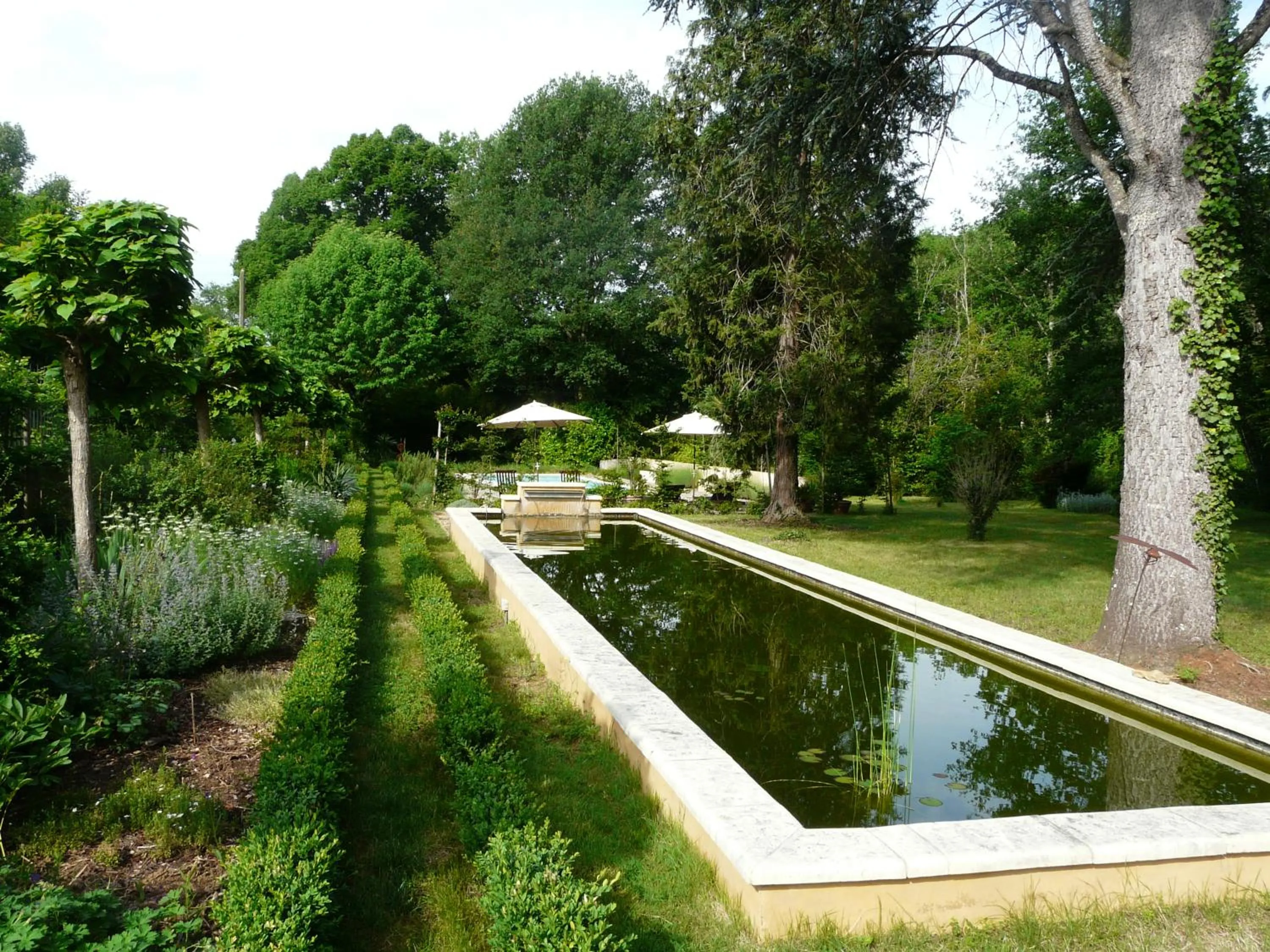 Garden in Le Manoir des Tuileries