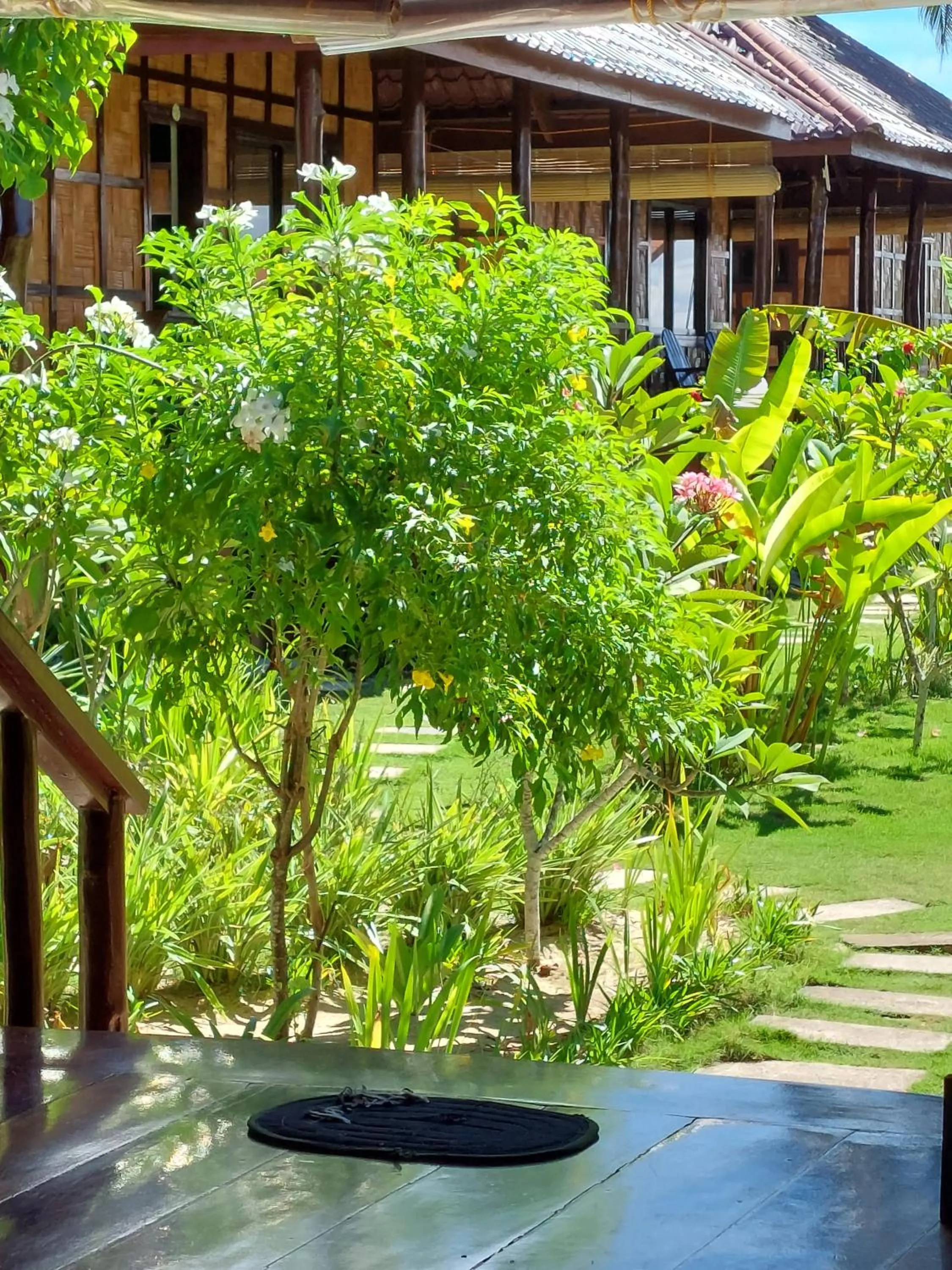 Garden in DaRosa Del Mar