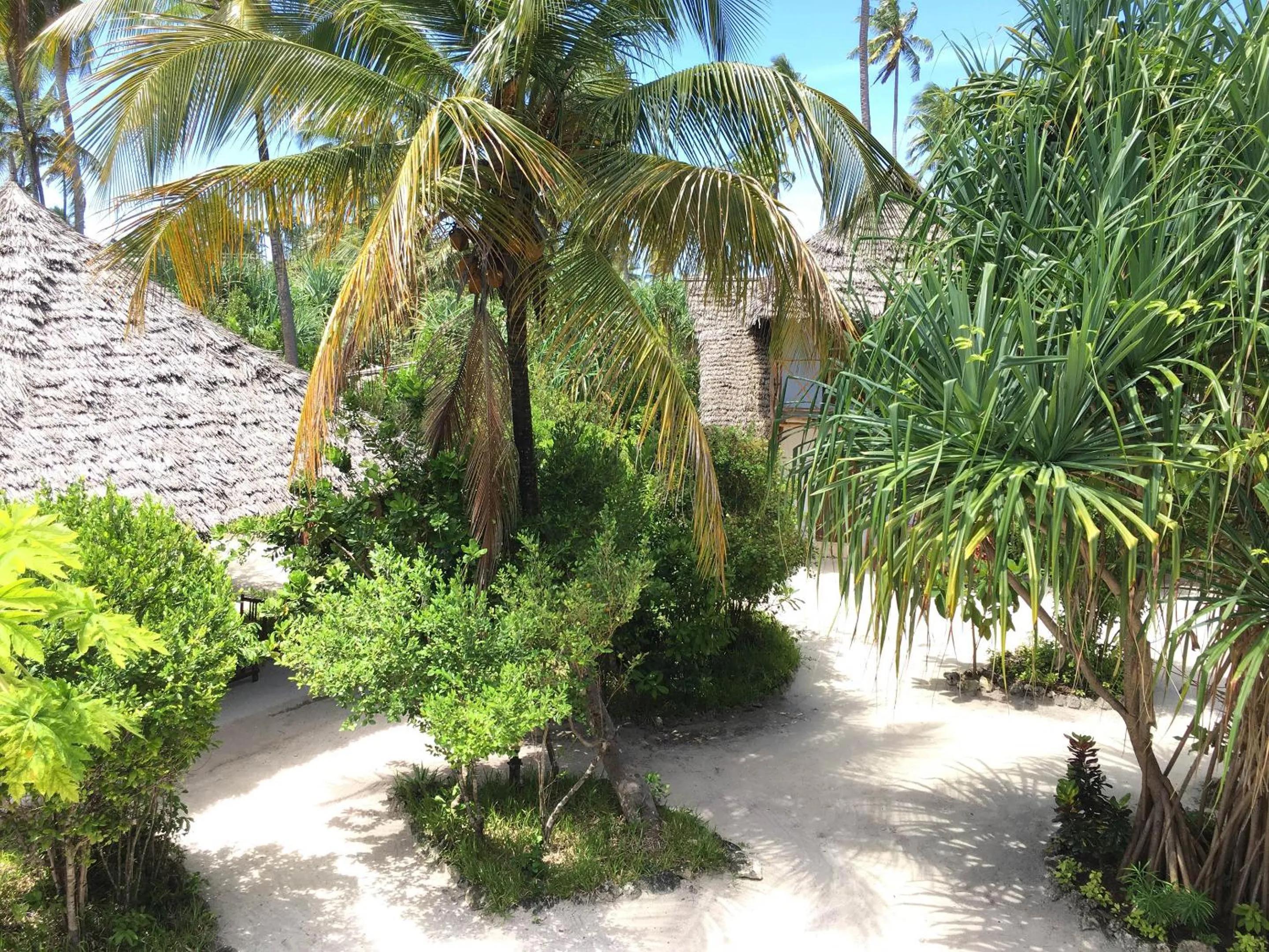 Garden in Mount Zion Lodge