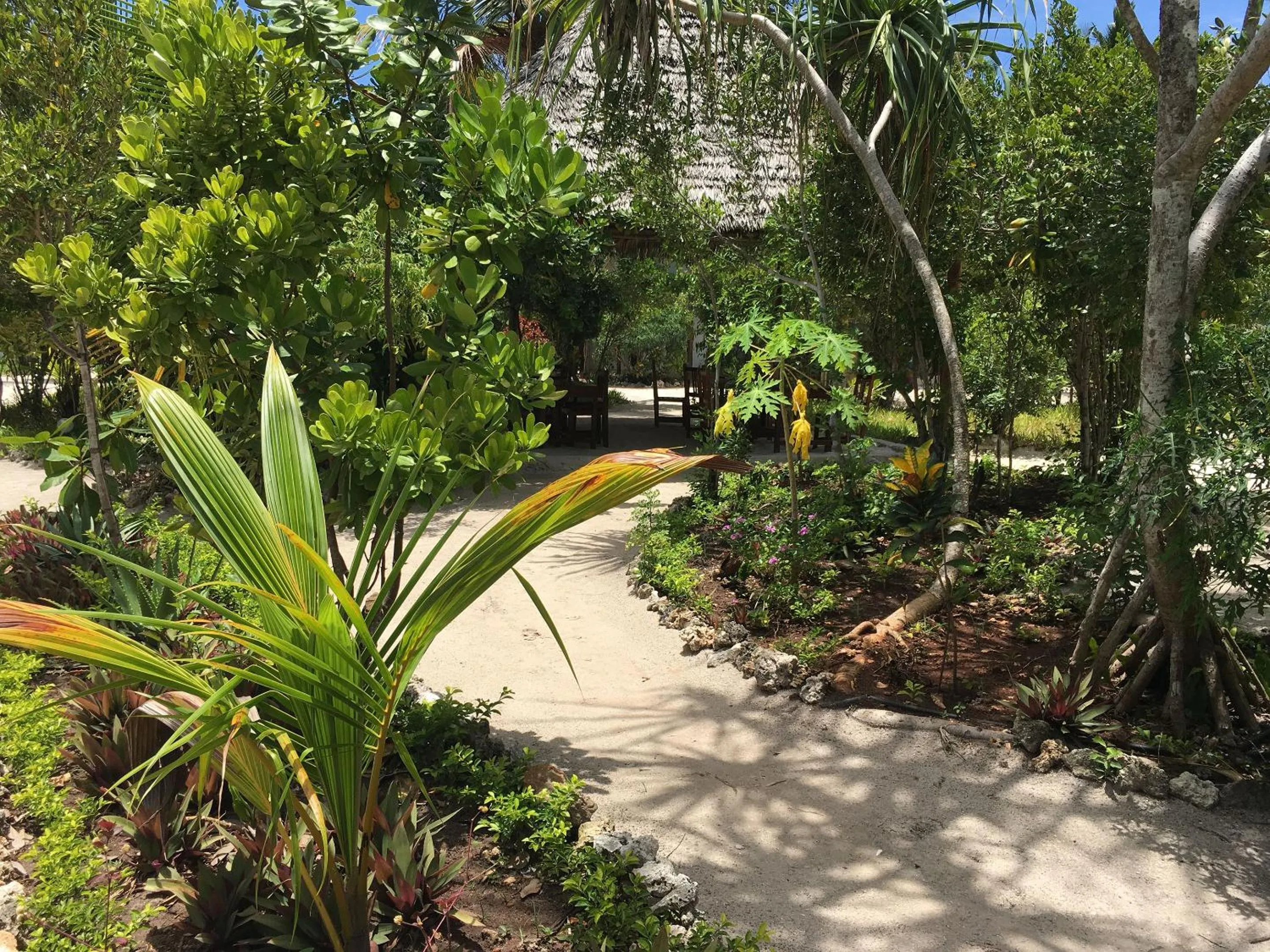 Garden in Mount Zion Lodge